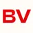 Byron Vos