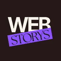 Web Storys Agency