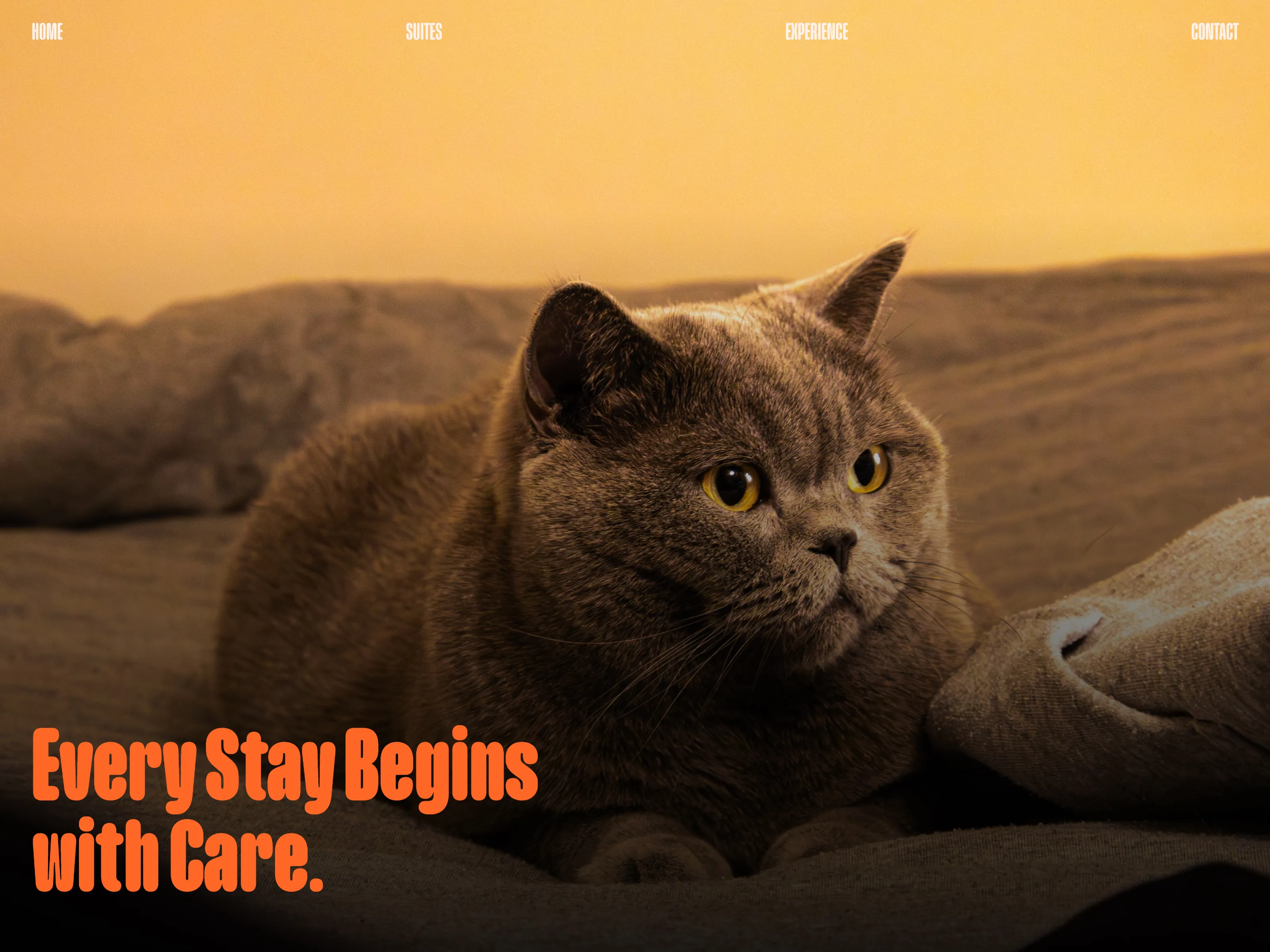 Desktop Screenshot