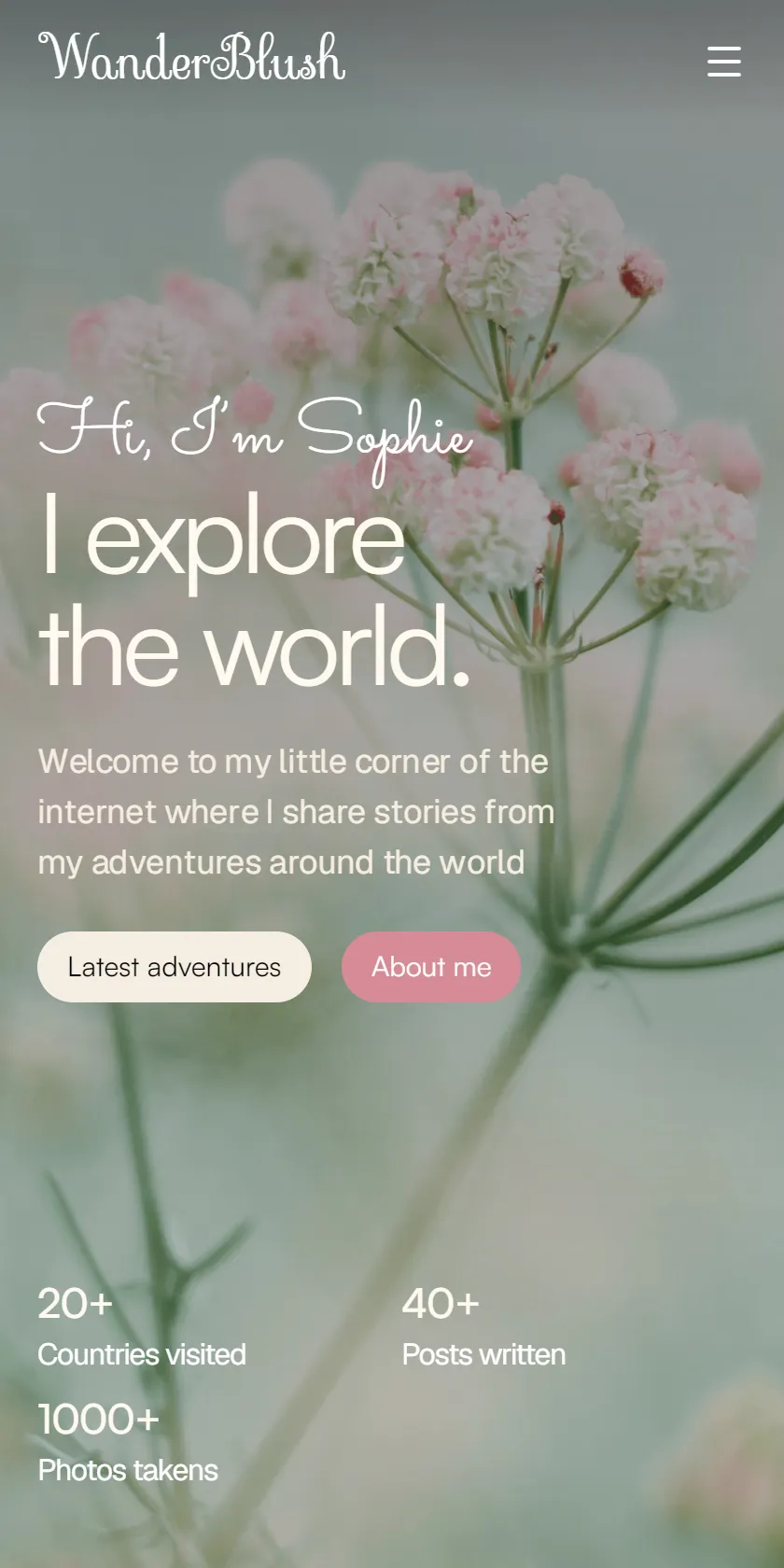 Mobile Screenshot