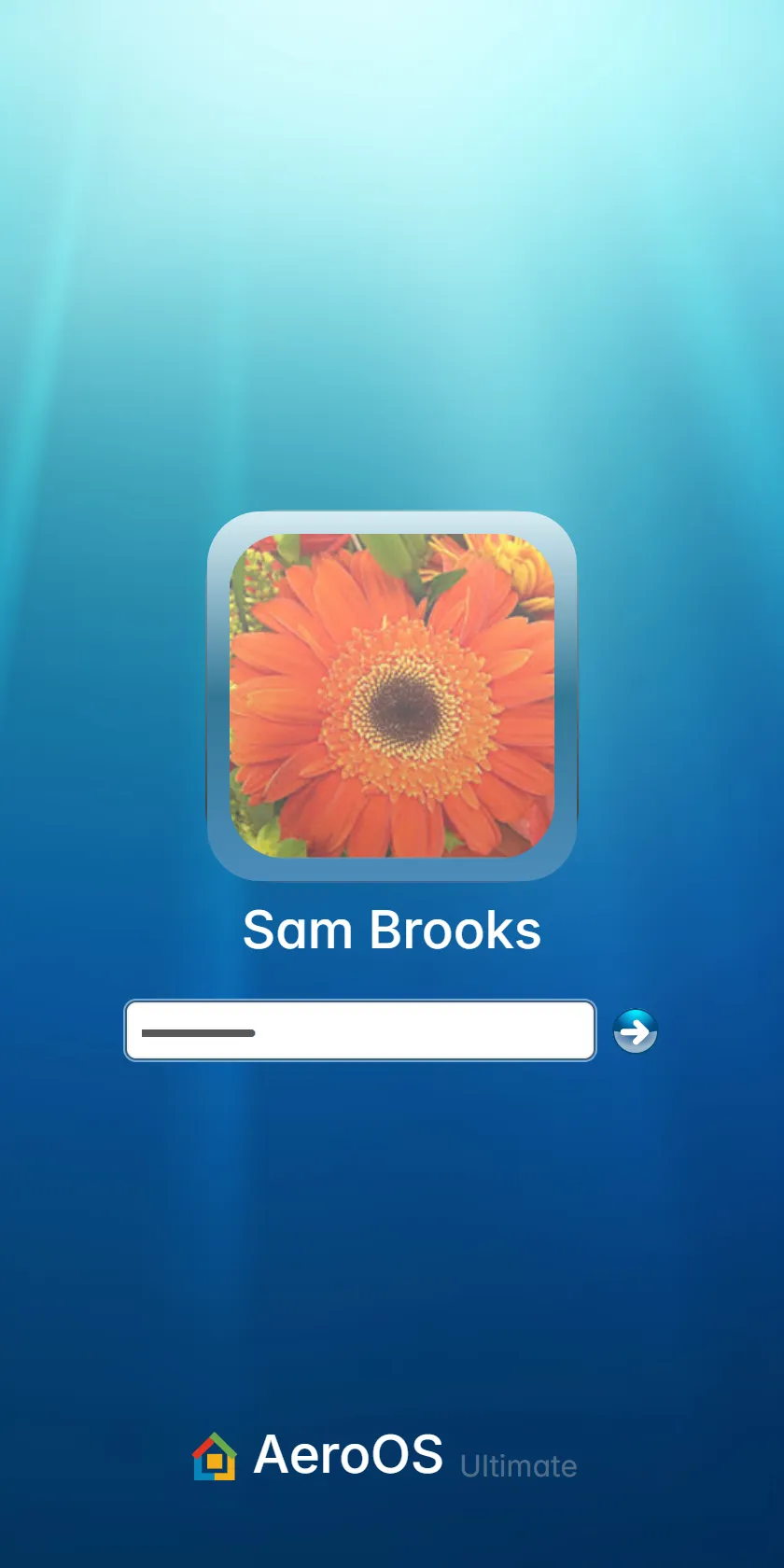 Mobile Screenshot