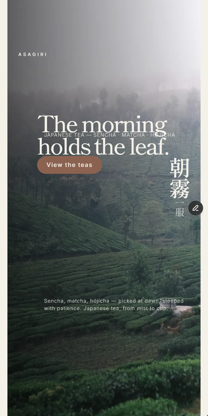 Mobile Screenshot