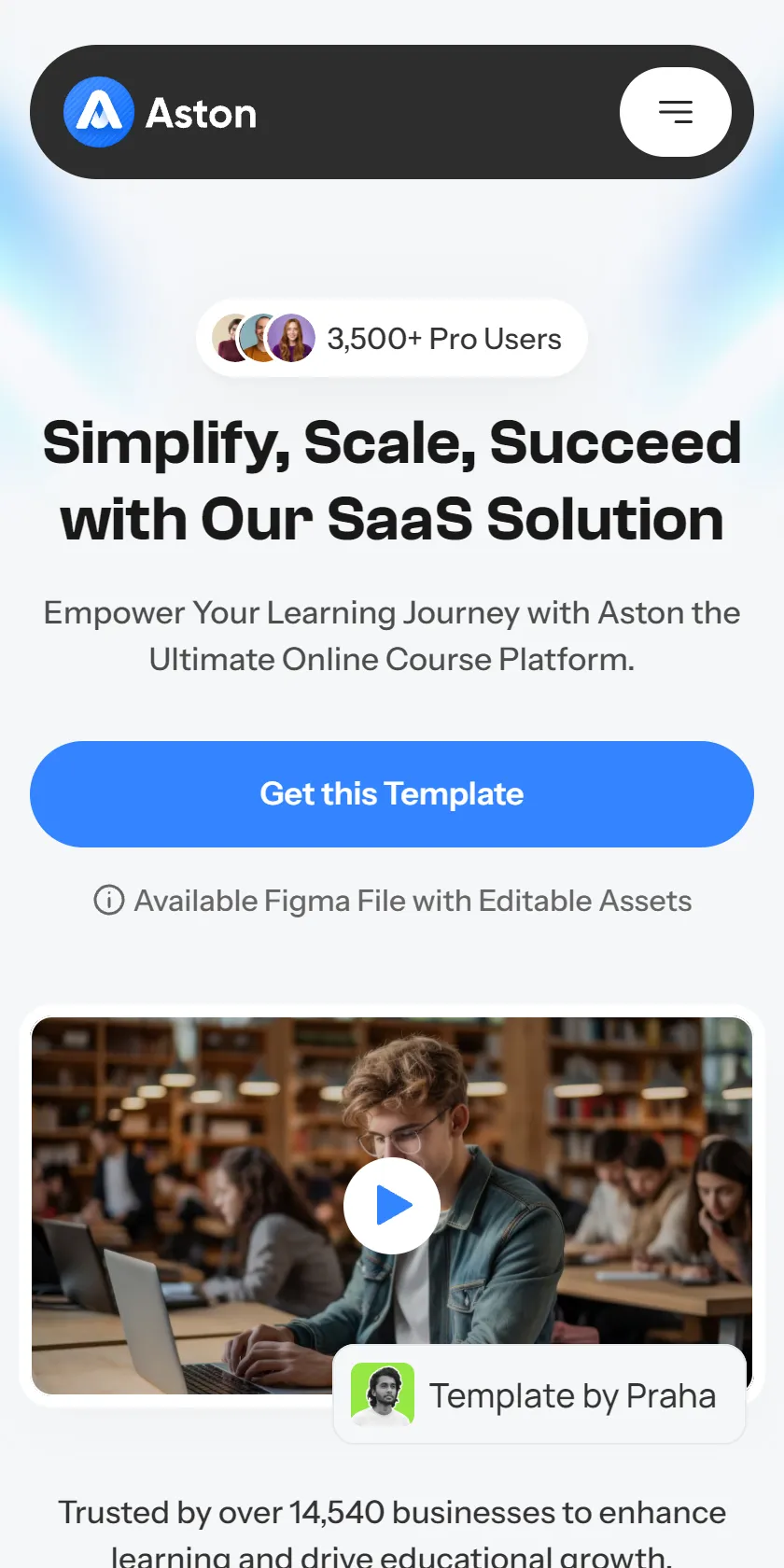 Mobile Screenshot