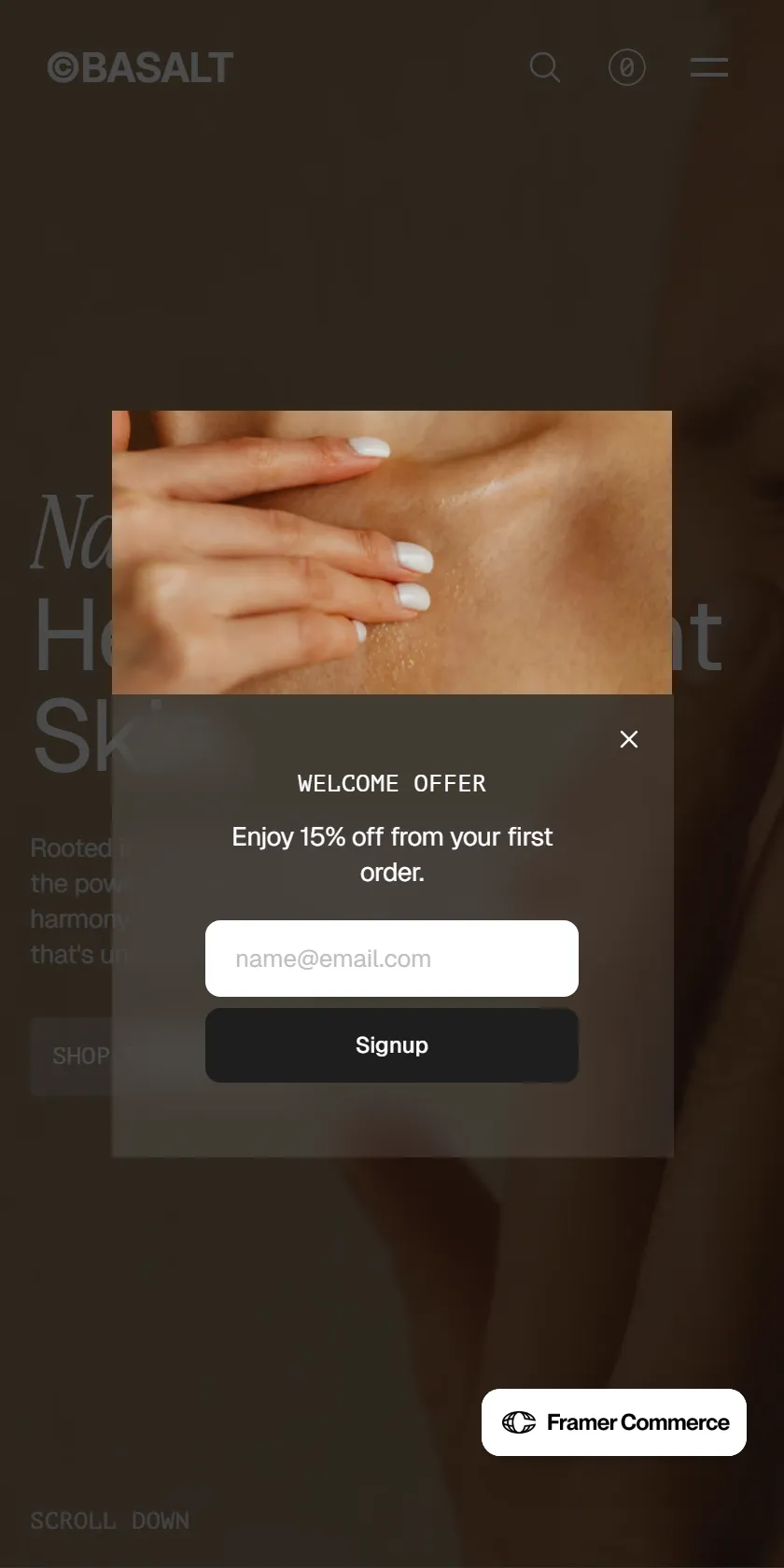 Mobile Screenshot