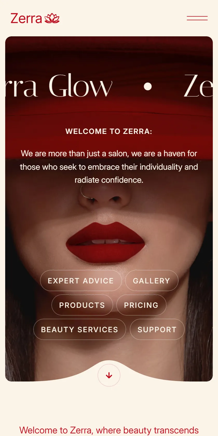 Mobile Screenshot