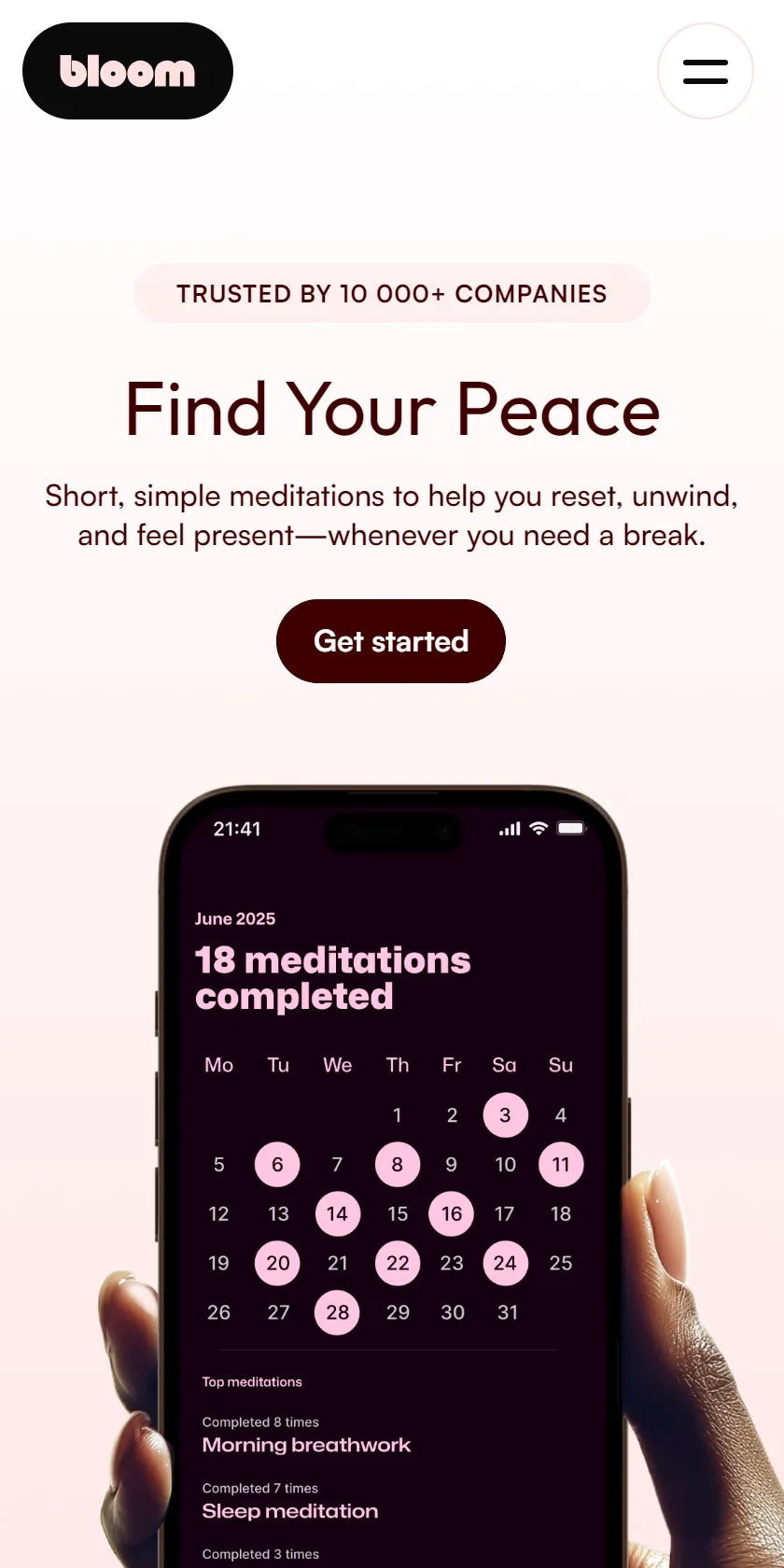 Mobile Screenshot
