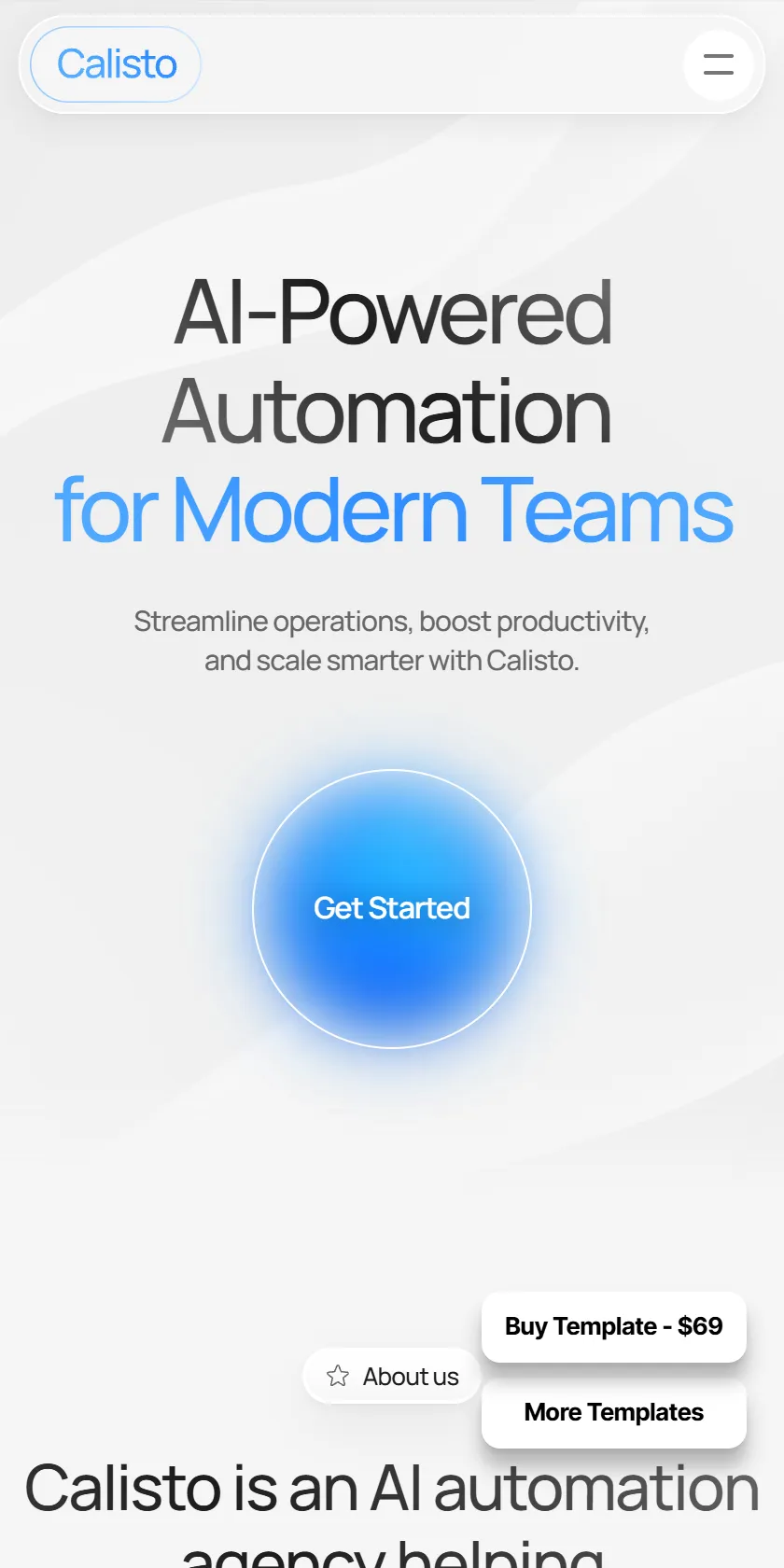 Mobile Screenshot