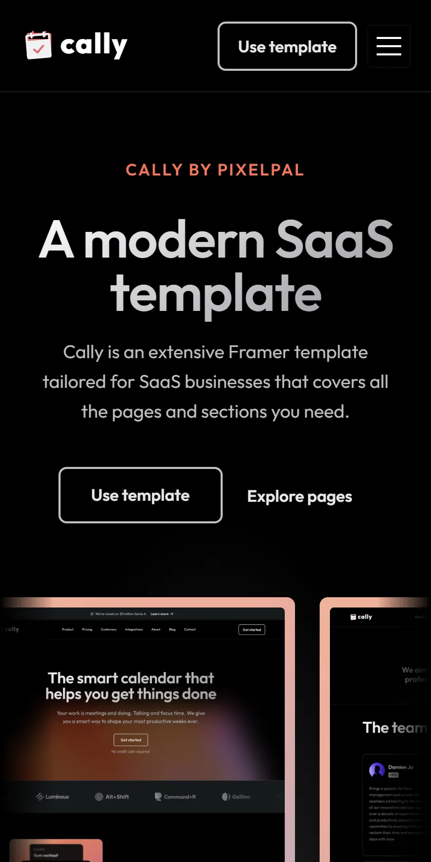Mobile Screenshot