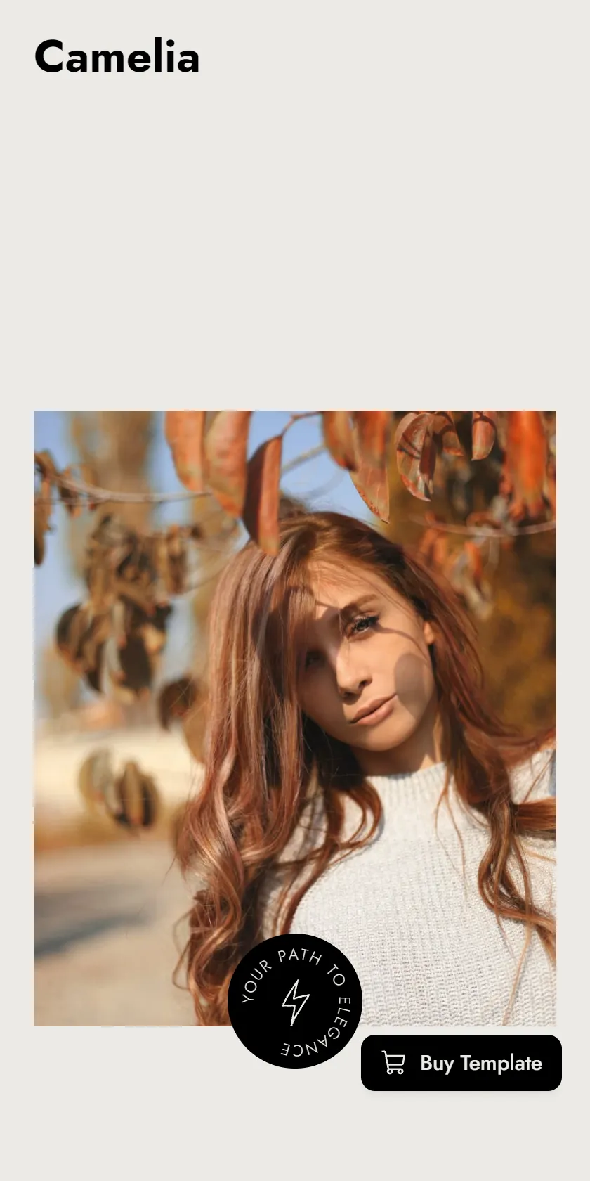 Mobile Screenshot
