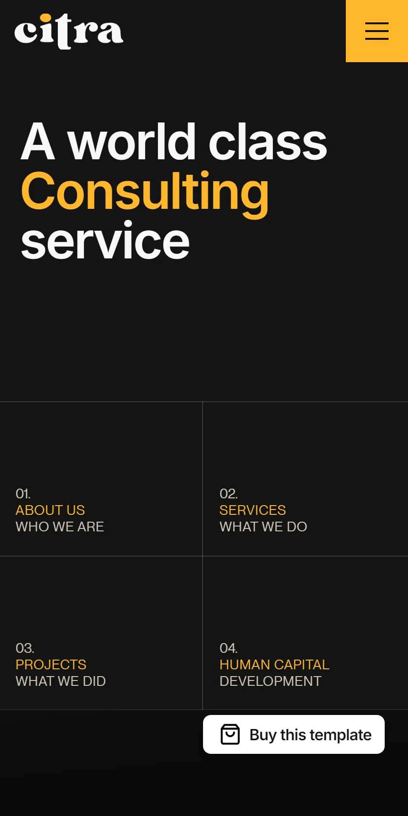 Mobile Screenshot