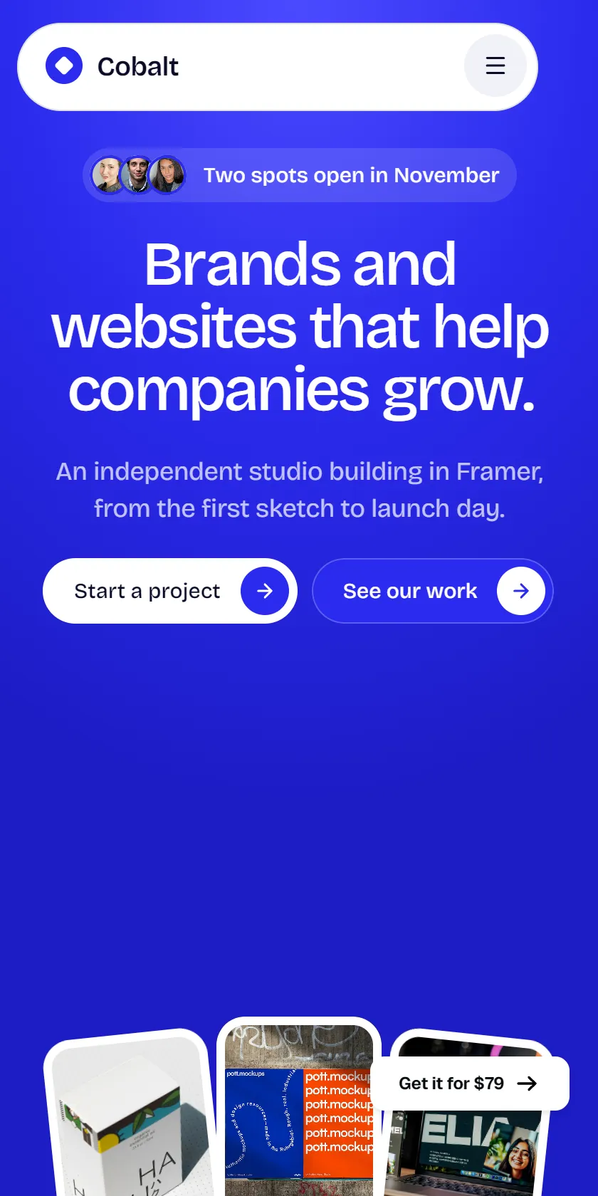 Mobile Screenshot