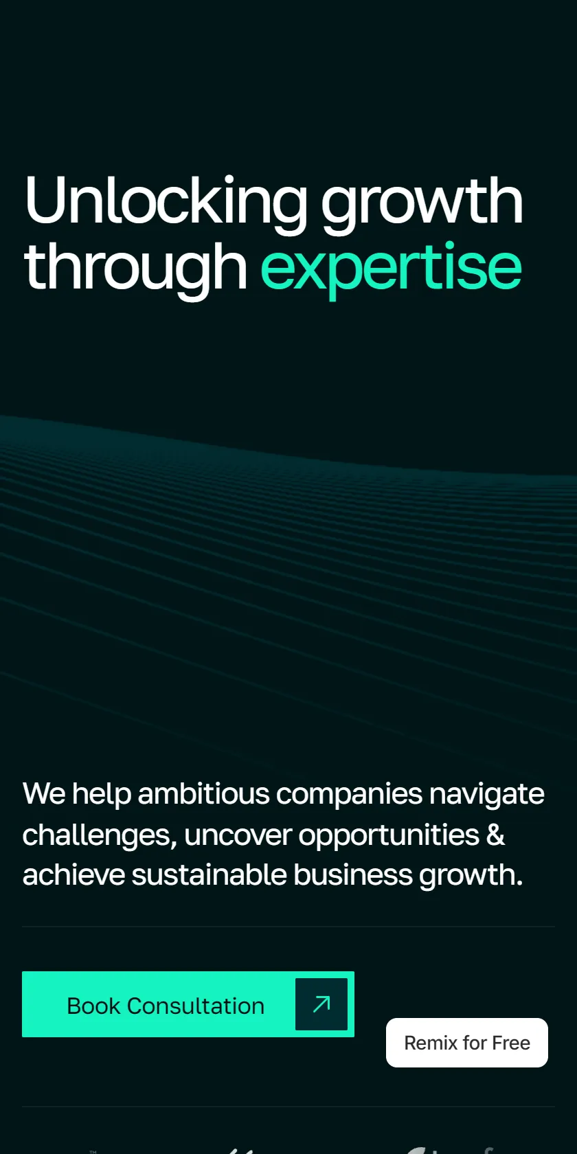 Mobile Screenshot
