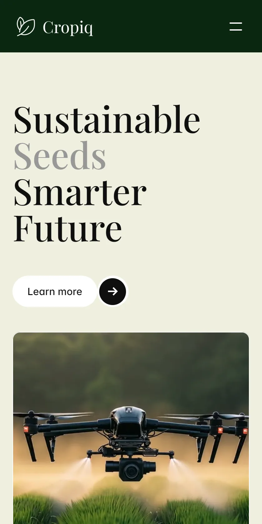 Mobile Screenshot