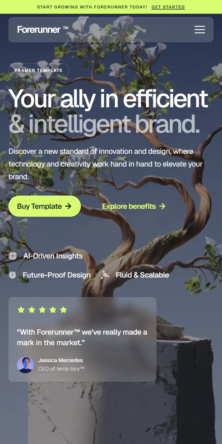 Mobile Screenshot