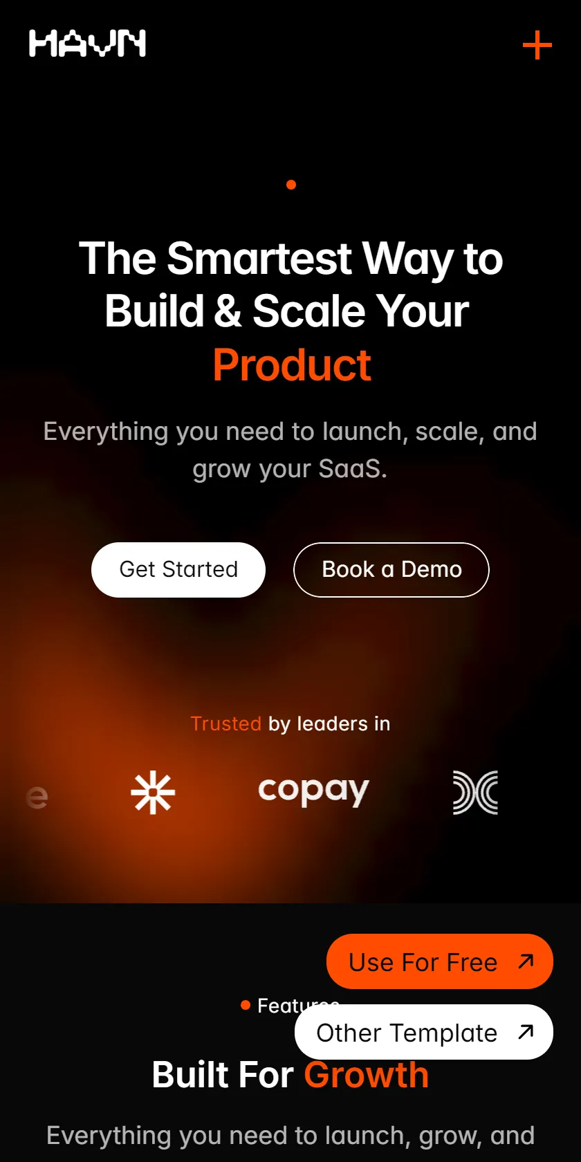Mobile Screenshot