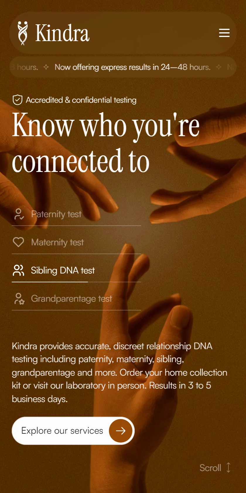 Mobile Screenshot