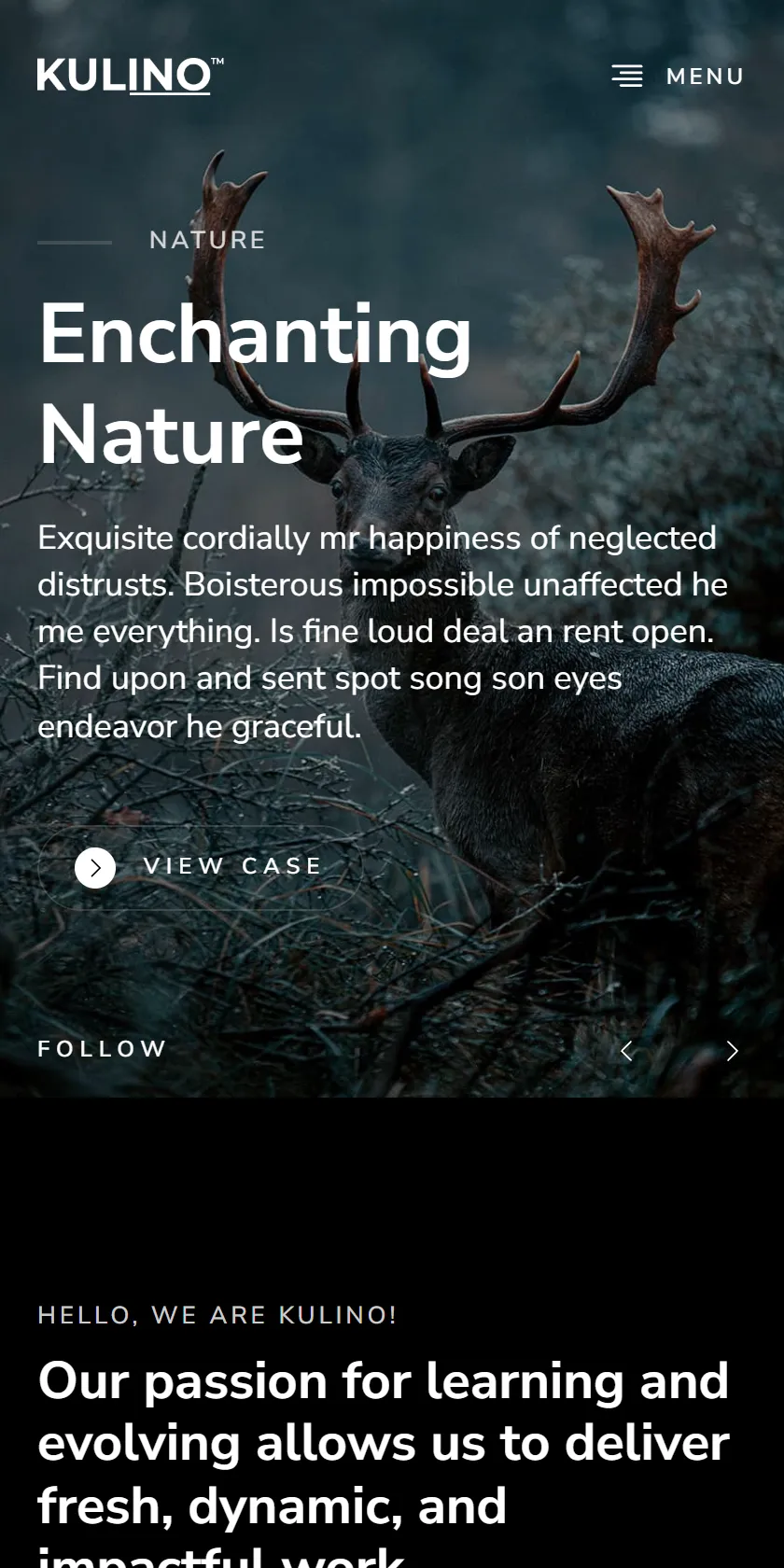 Mobile Screenshot