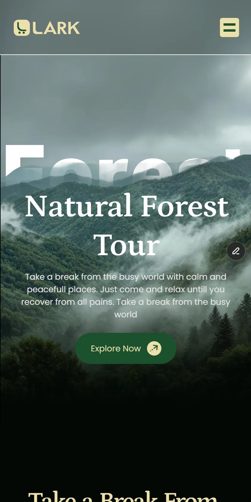 Mobile Screenshot