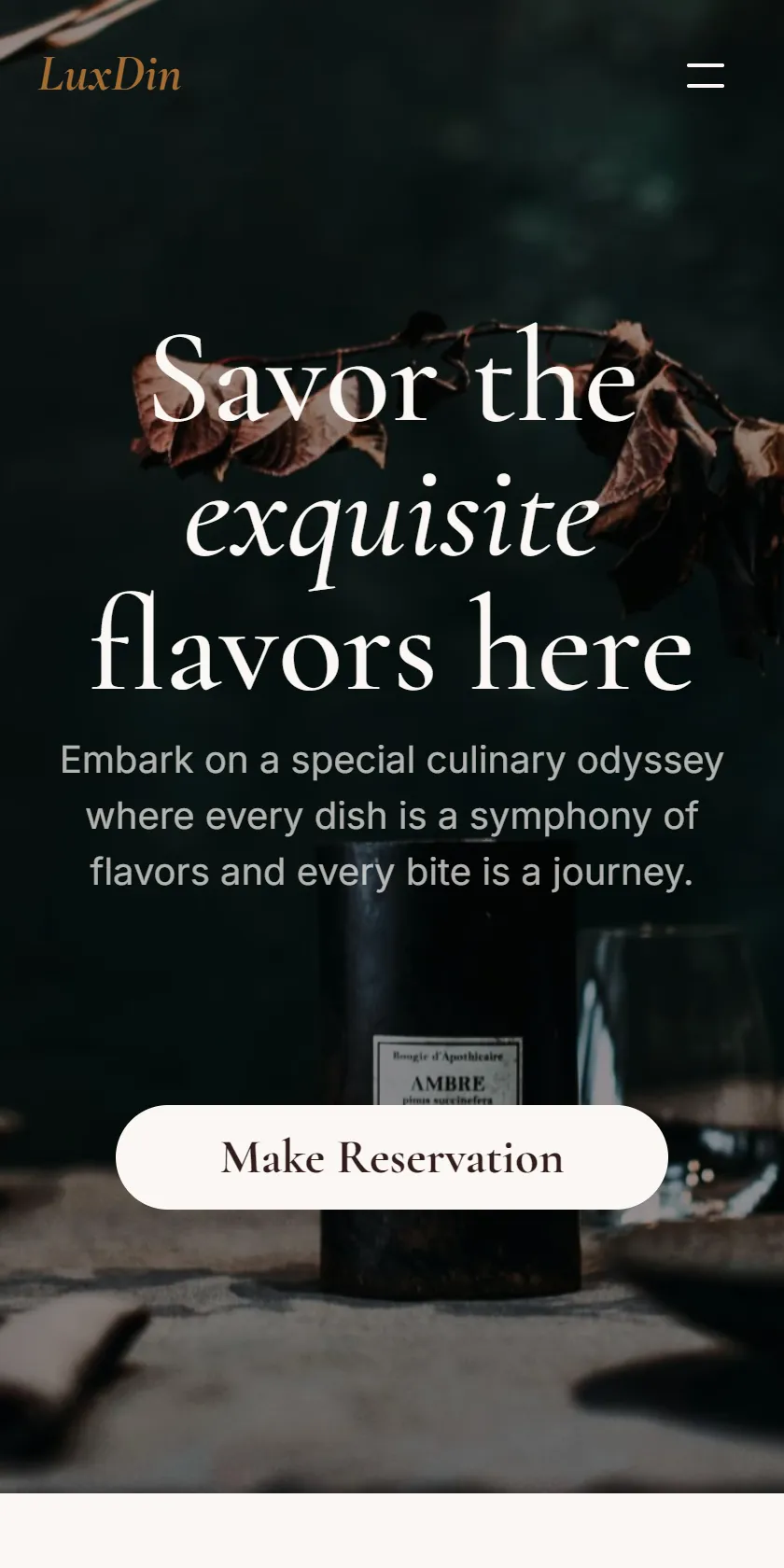Mobile Screenshot