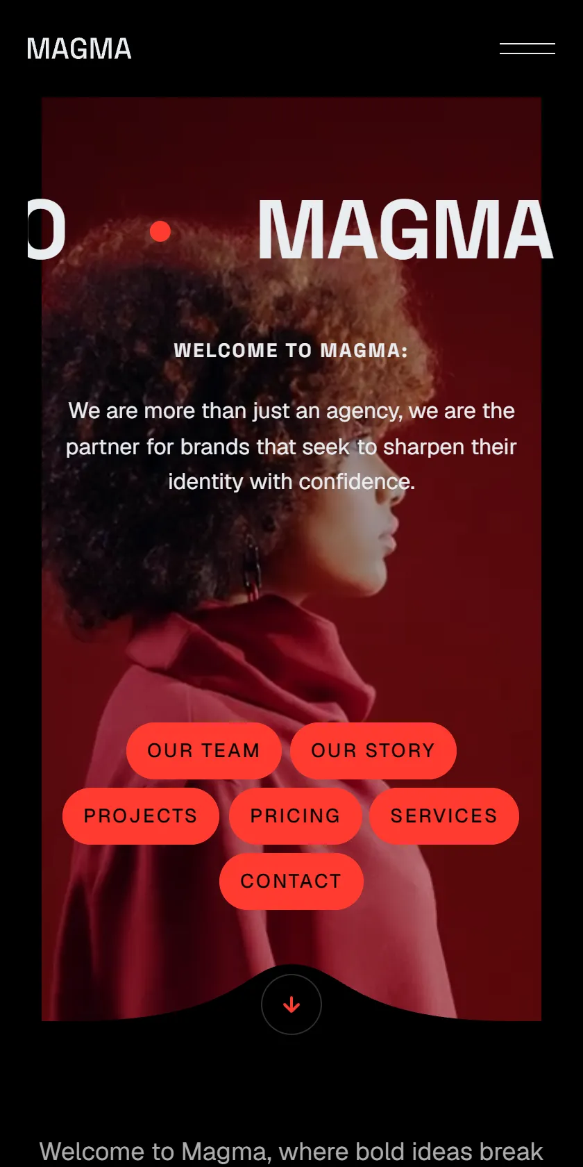 Mobile Screenshot