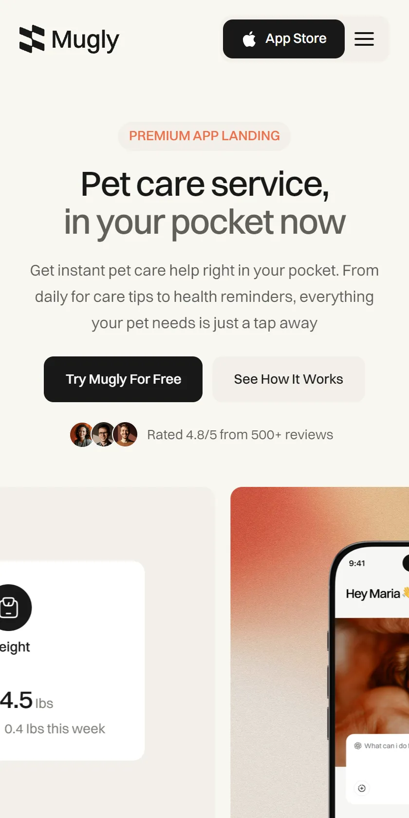 Mobile Screenshot