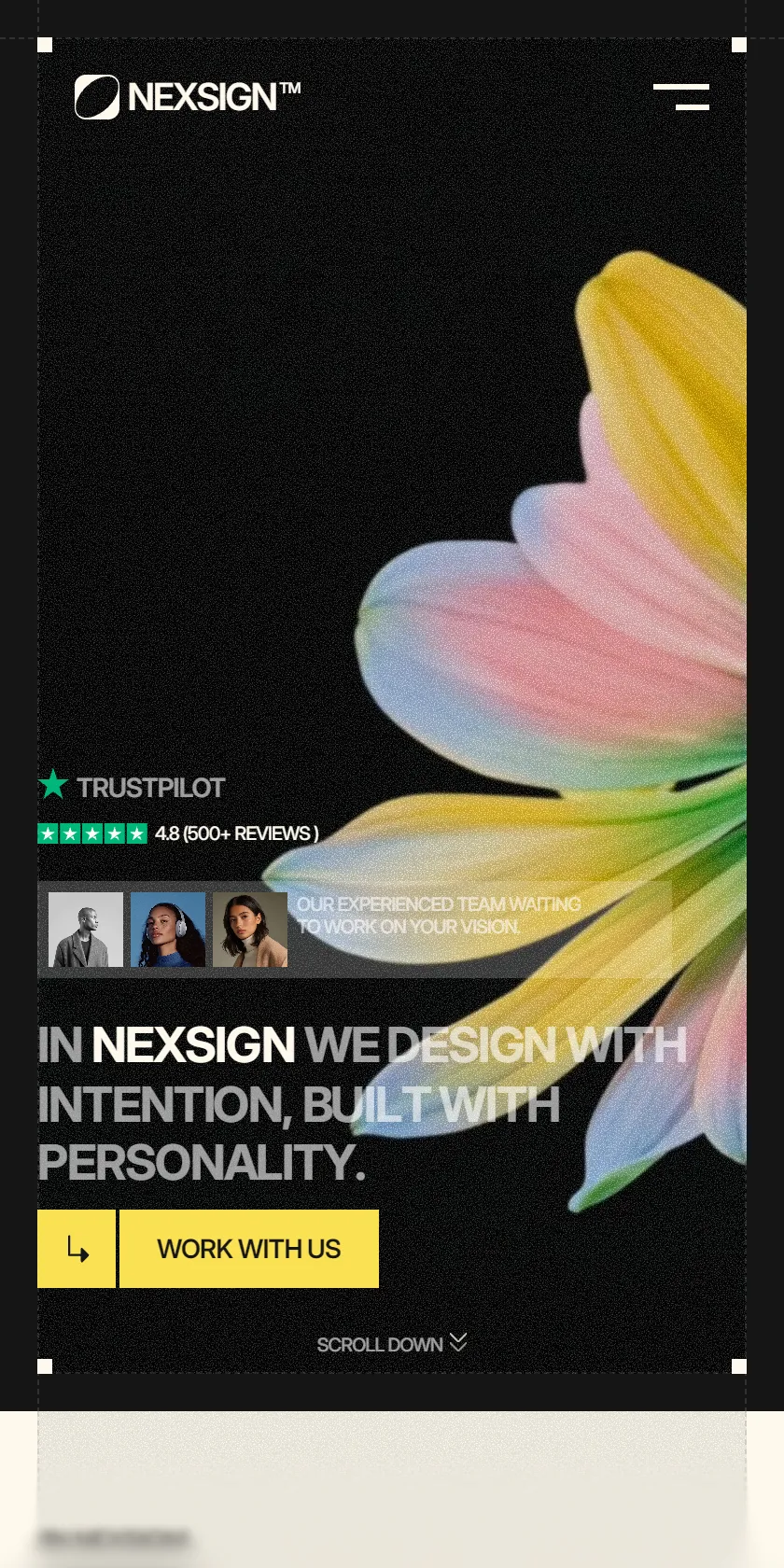 Mobile Screenshot