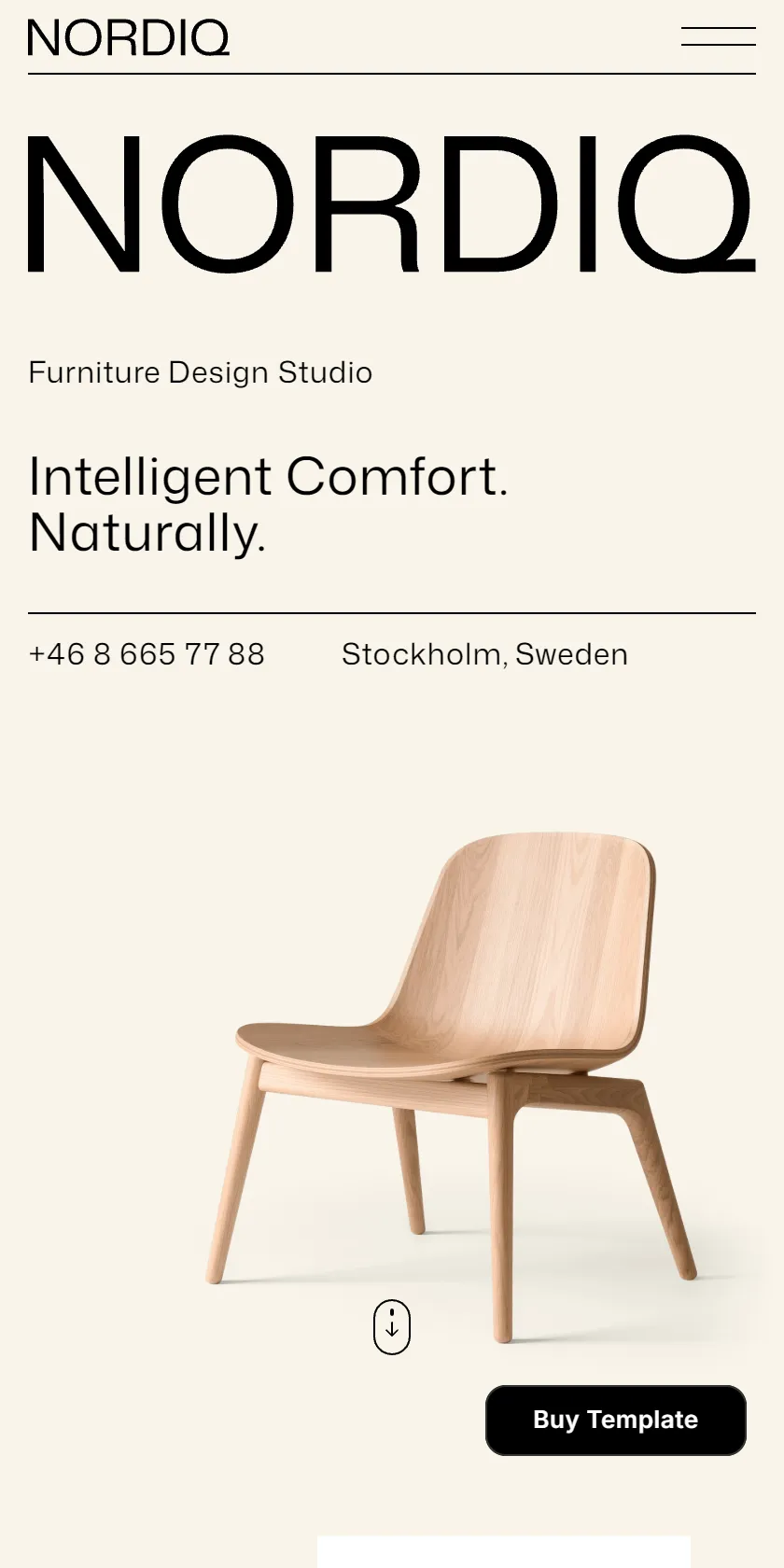 Mobile Screenshot