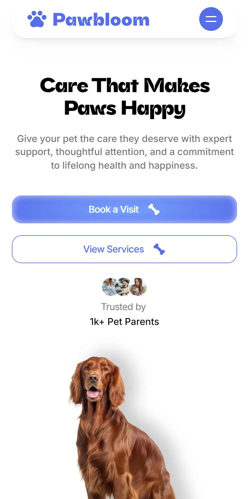 Mobile Screenshot