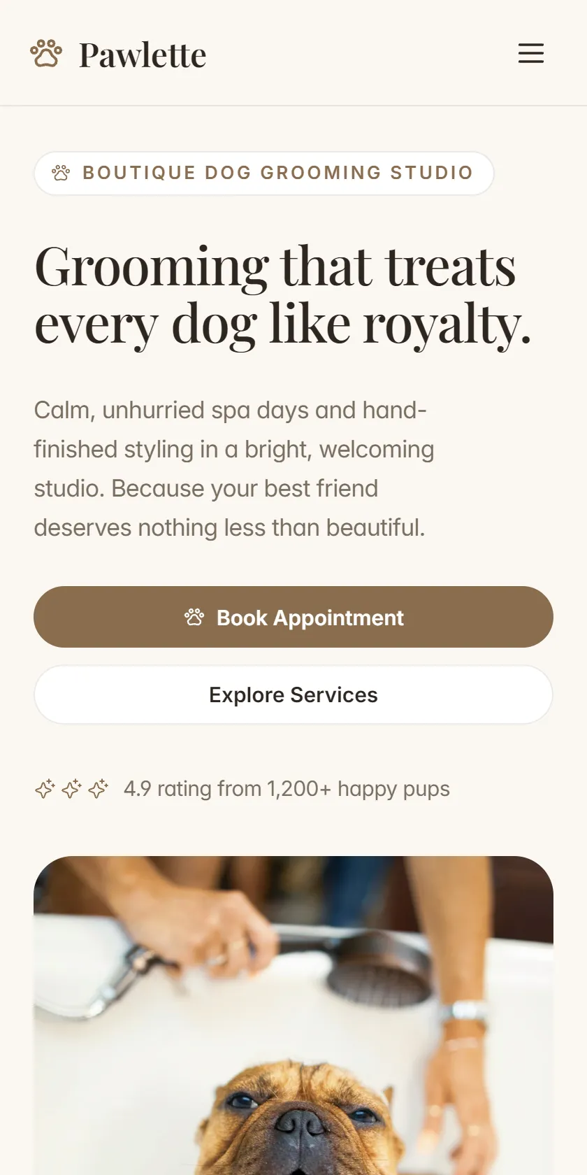 Mobile Screenshot