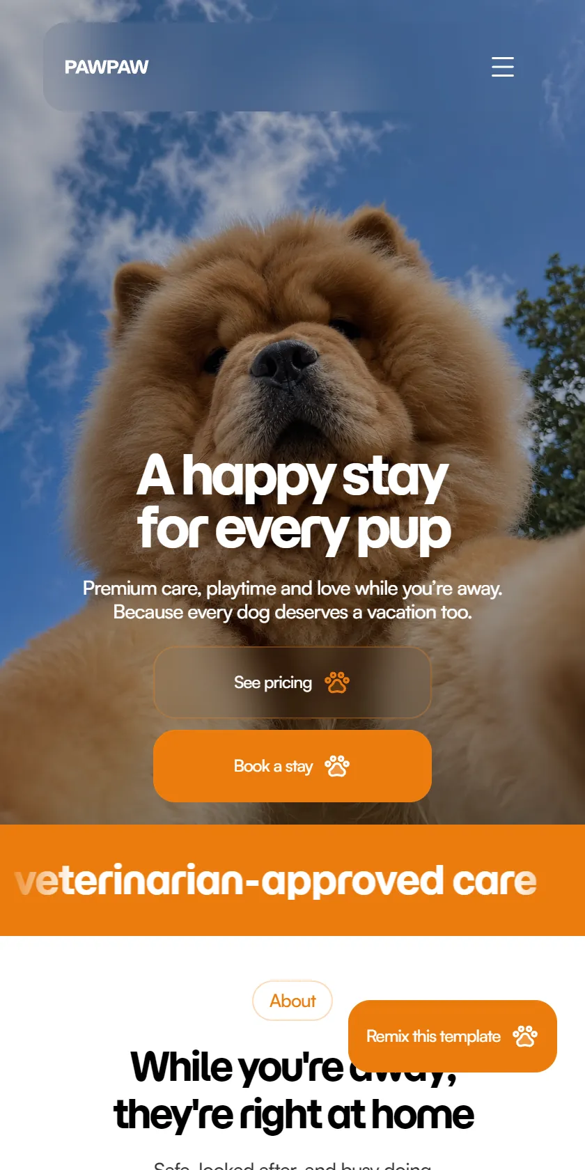 Mobile Screenshot