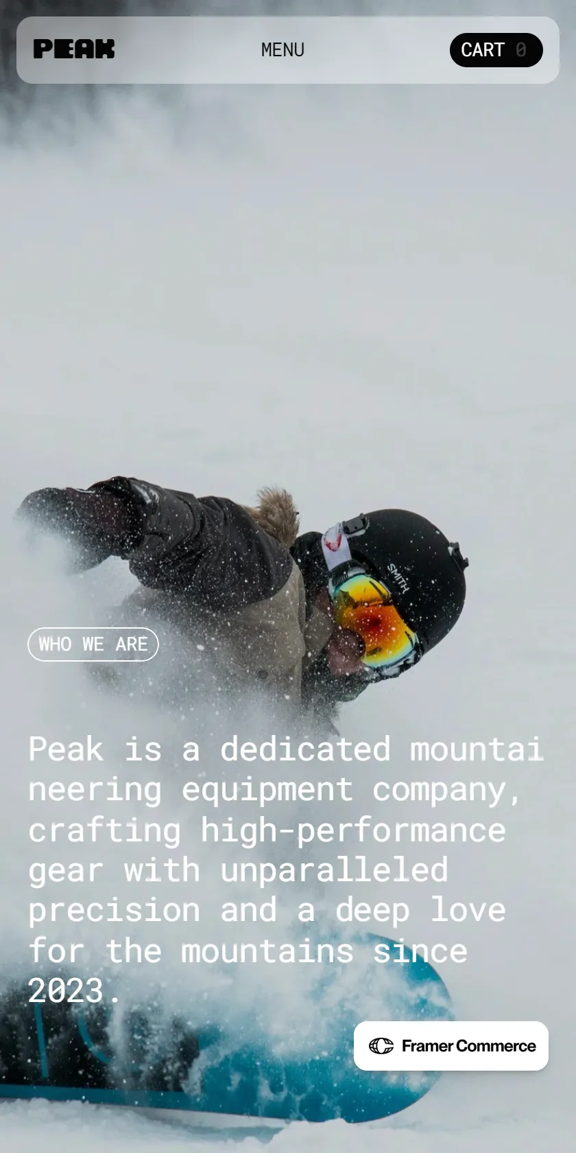 Mobile Screenshot