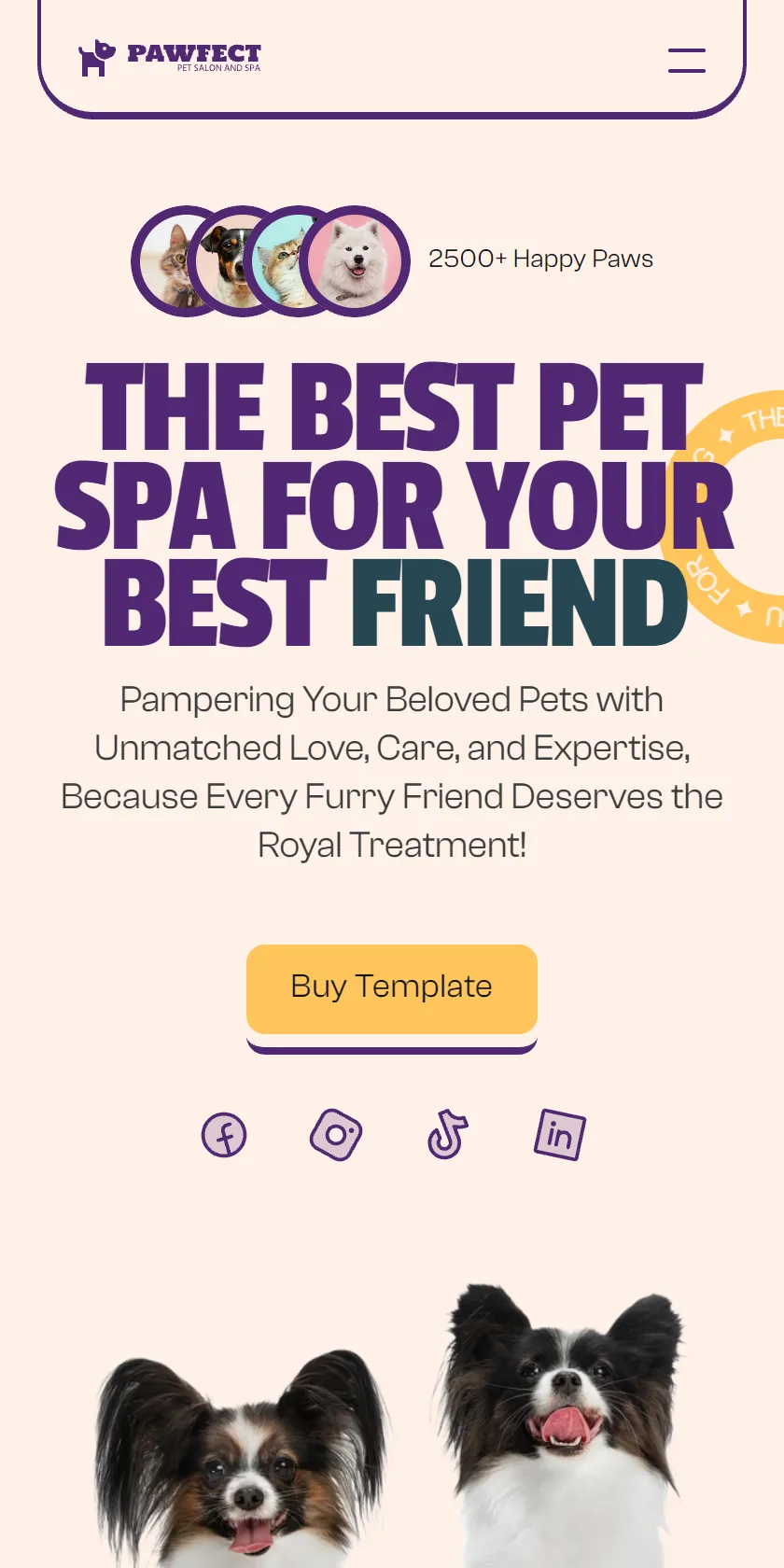 Mobile Screenshot