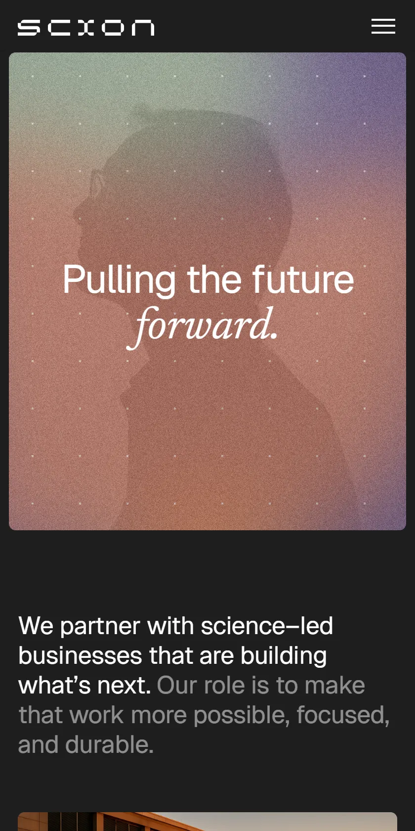 Mobile Screenshot