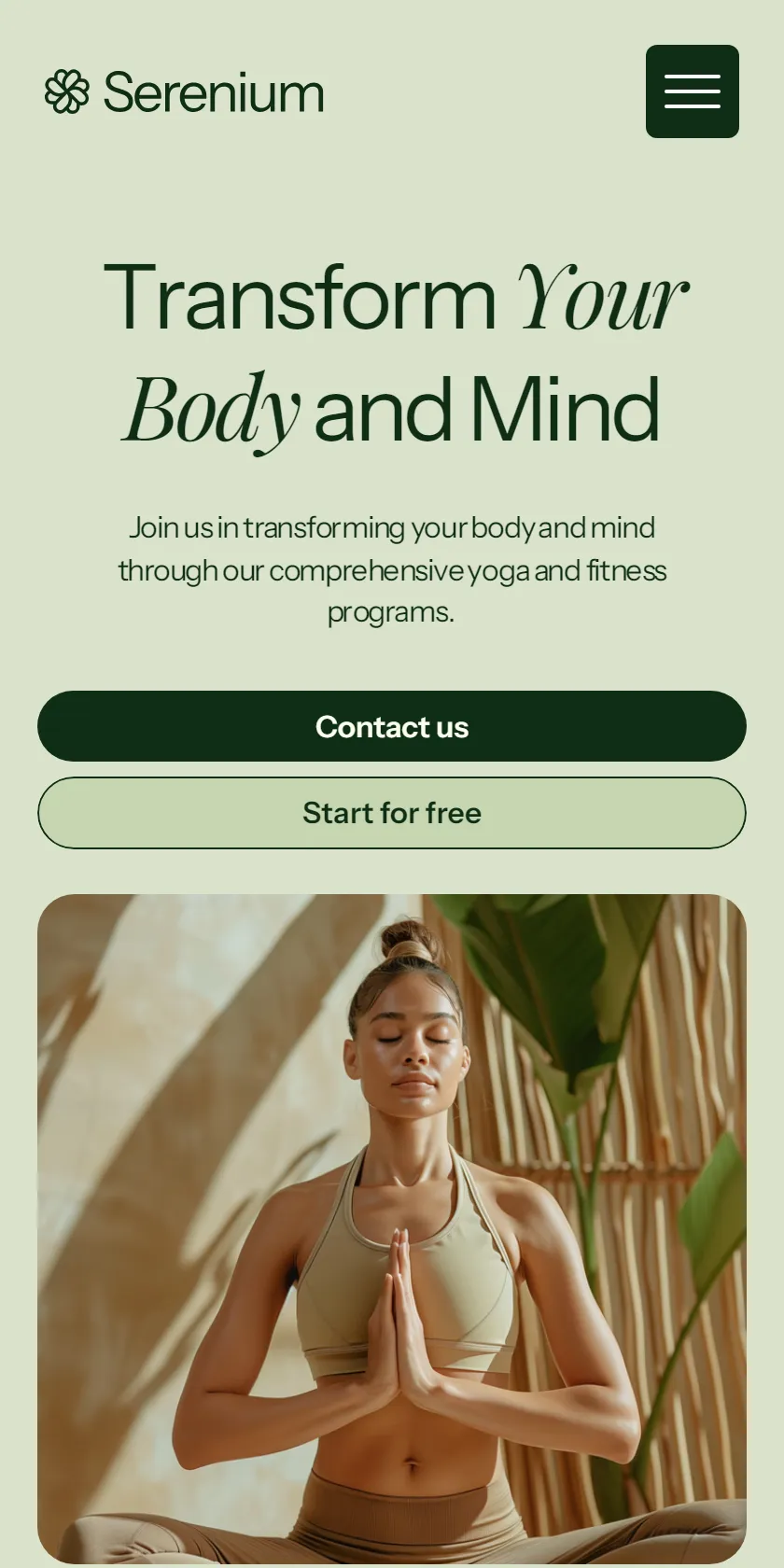 Mobile Screenshot