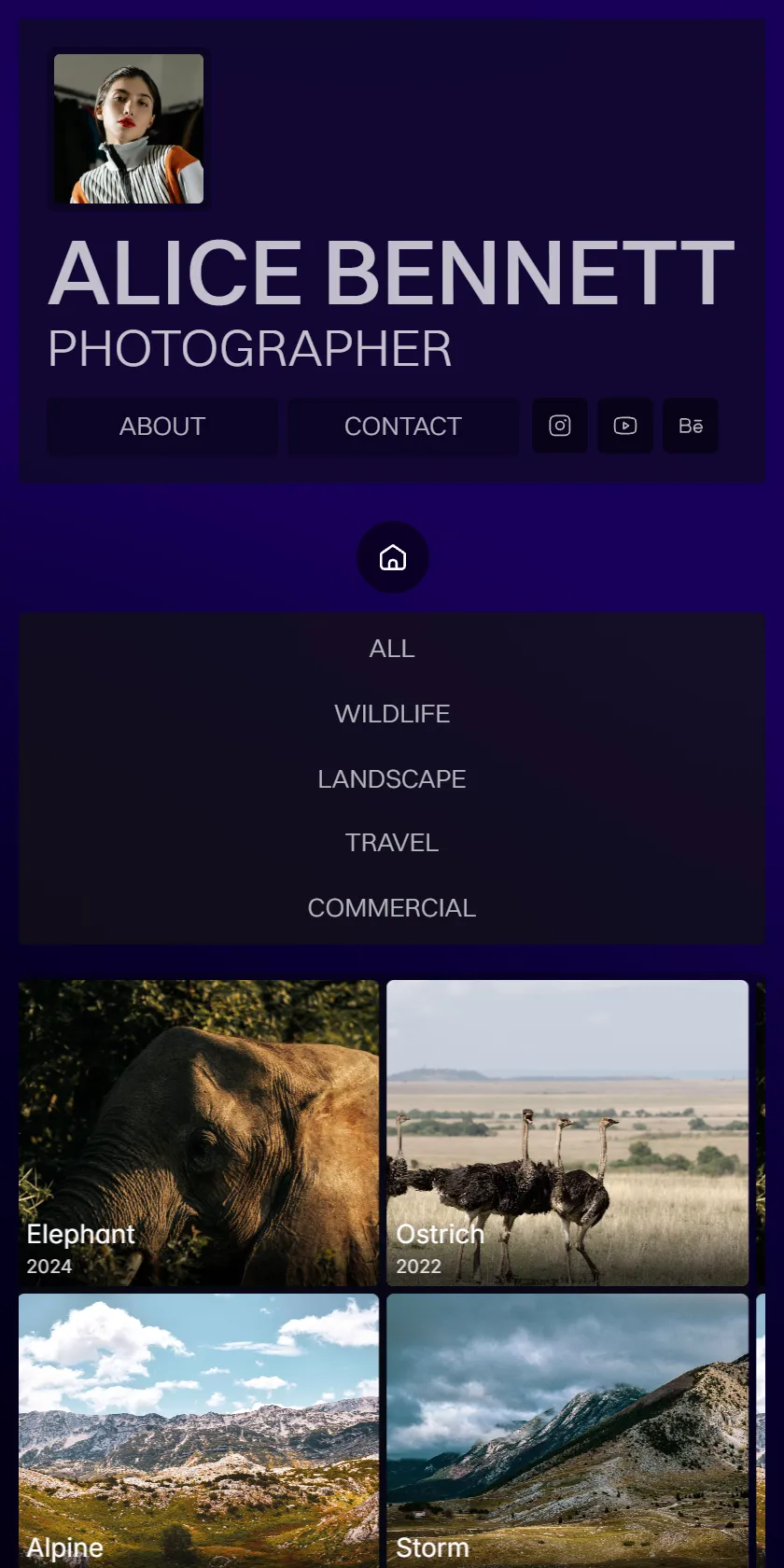 Mobile Screenshot