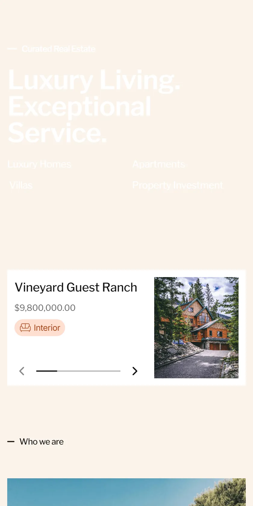 Mobile Screenshot