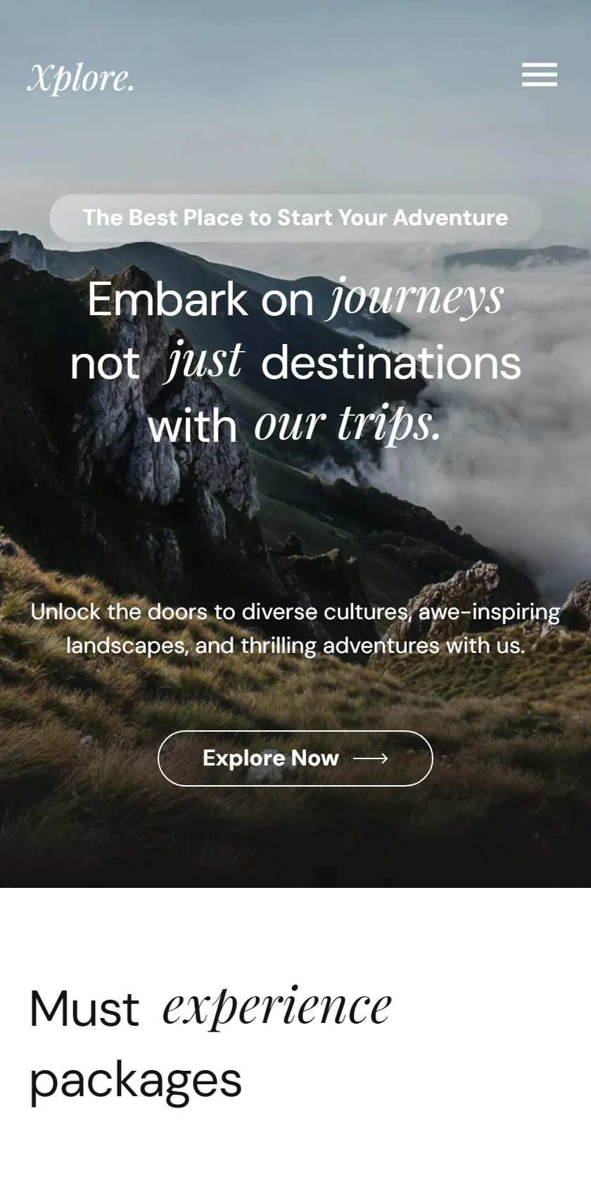Mobile Screenshot