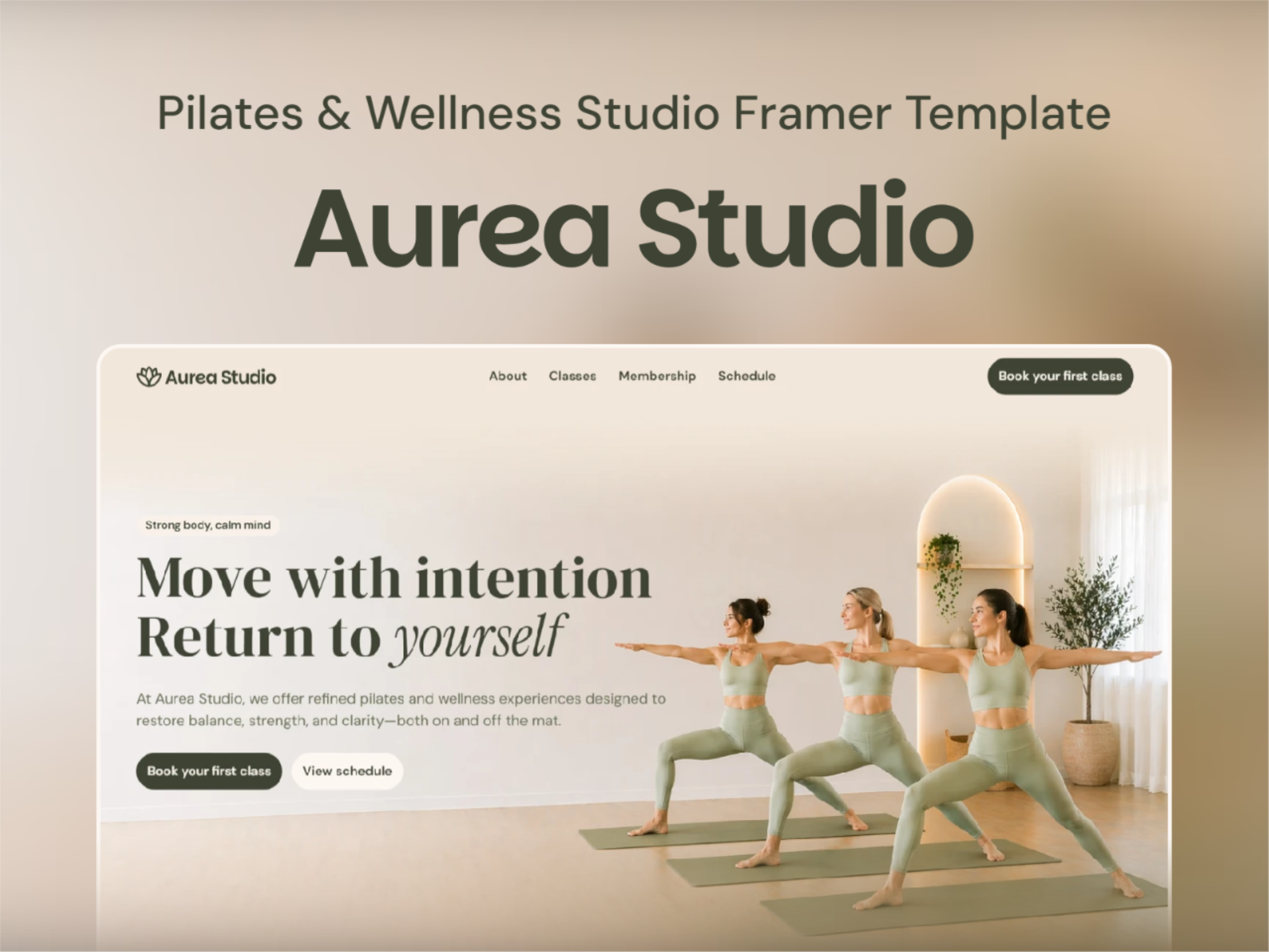 Screenshot 1 of Aurea Studio