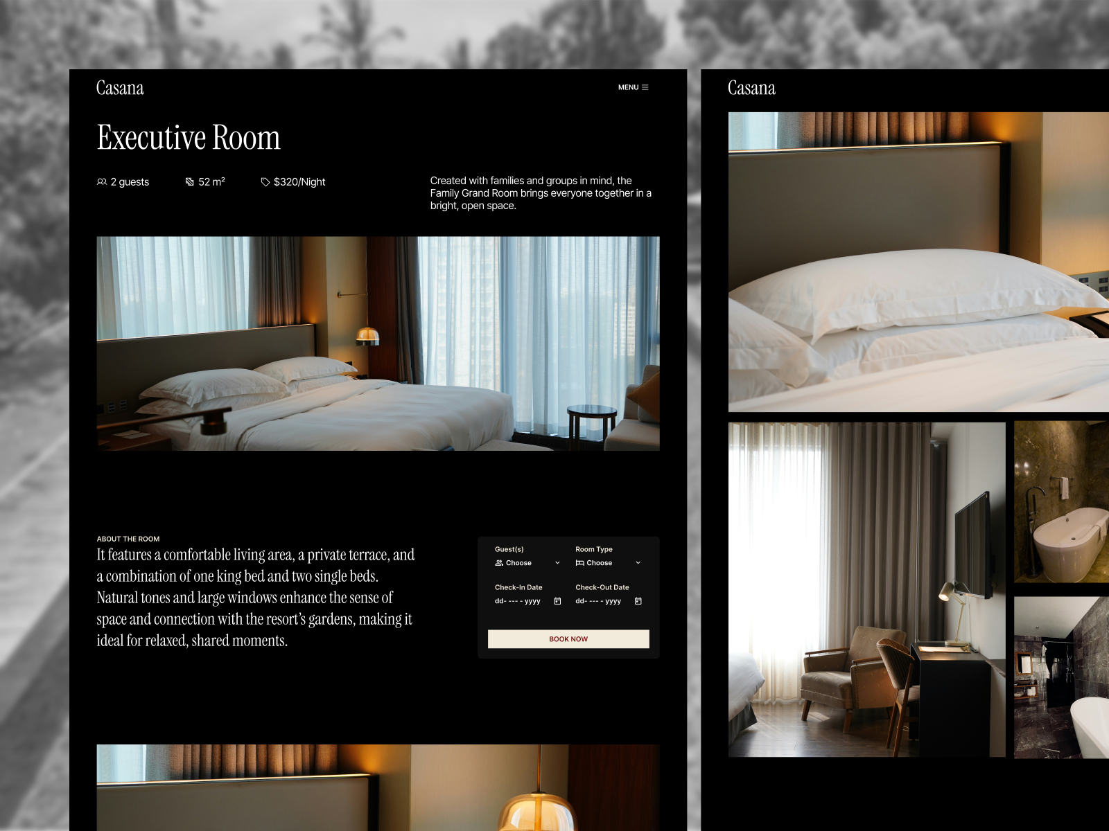 Screenshot 2 of CASANA