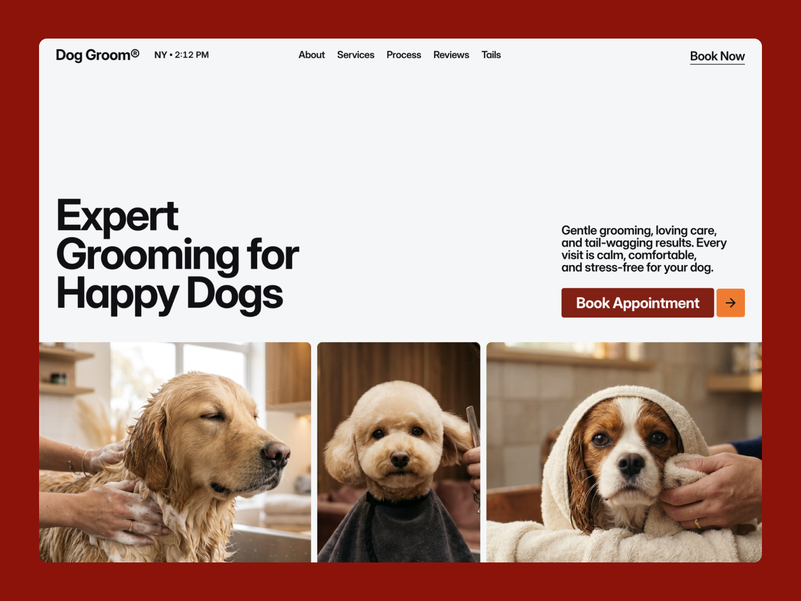 Screenshot 1 of Dog Groom