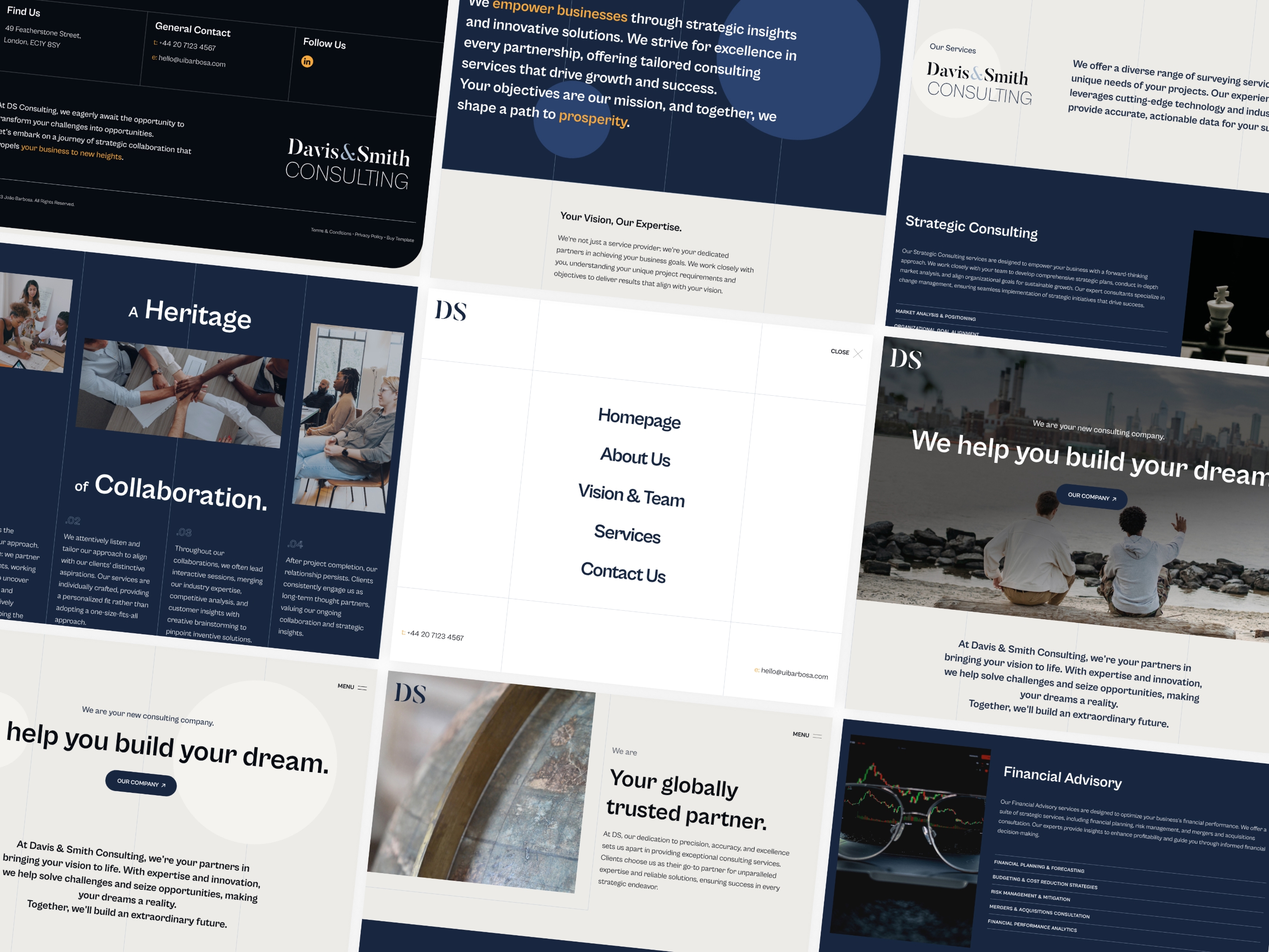 Screenshot 1 of DSConsulting