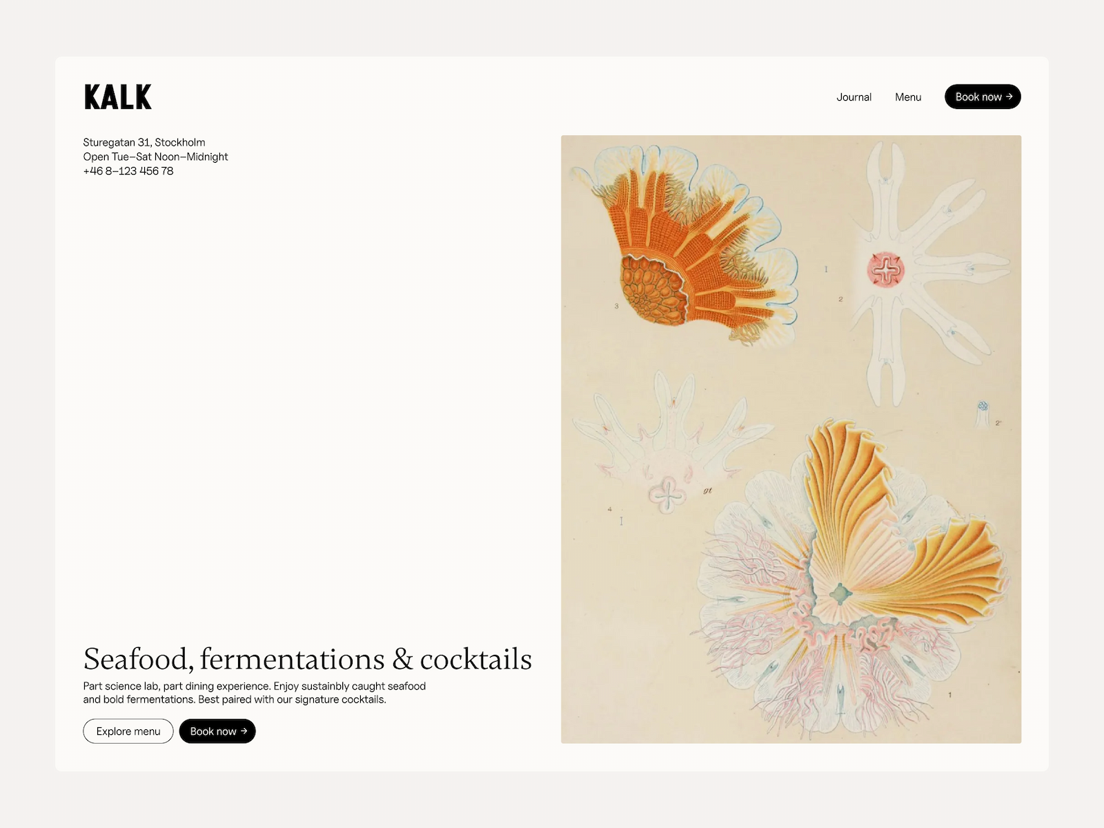 Screenshot 1 of Kalk