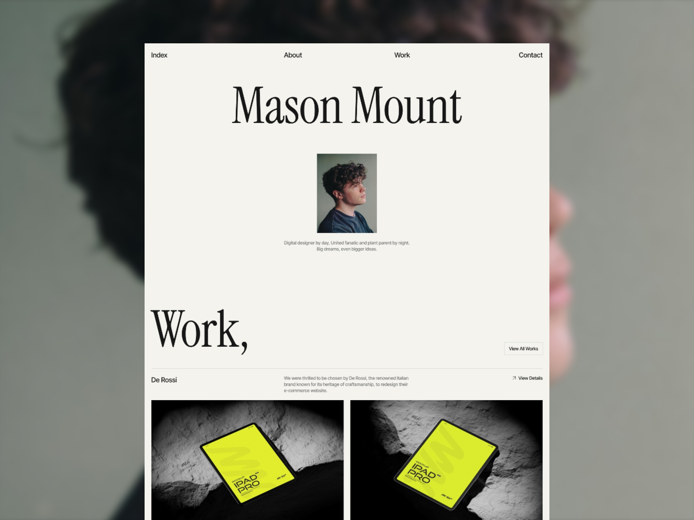 Screenshot 1 of MasonMount