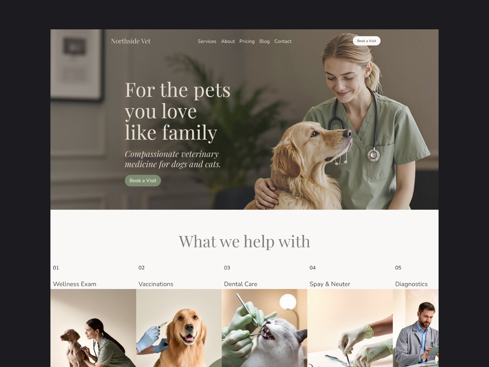 Screenshot 1 of Northside Vet