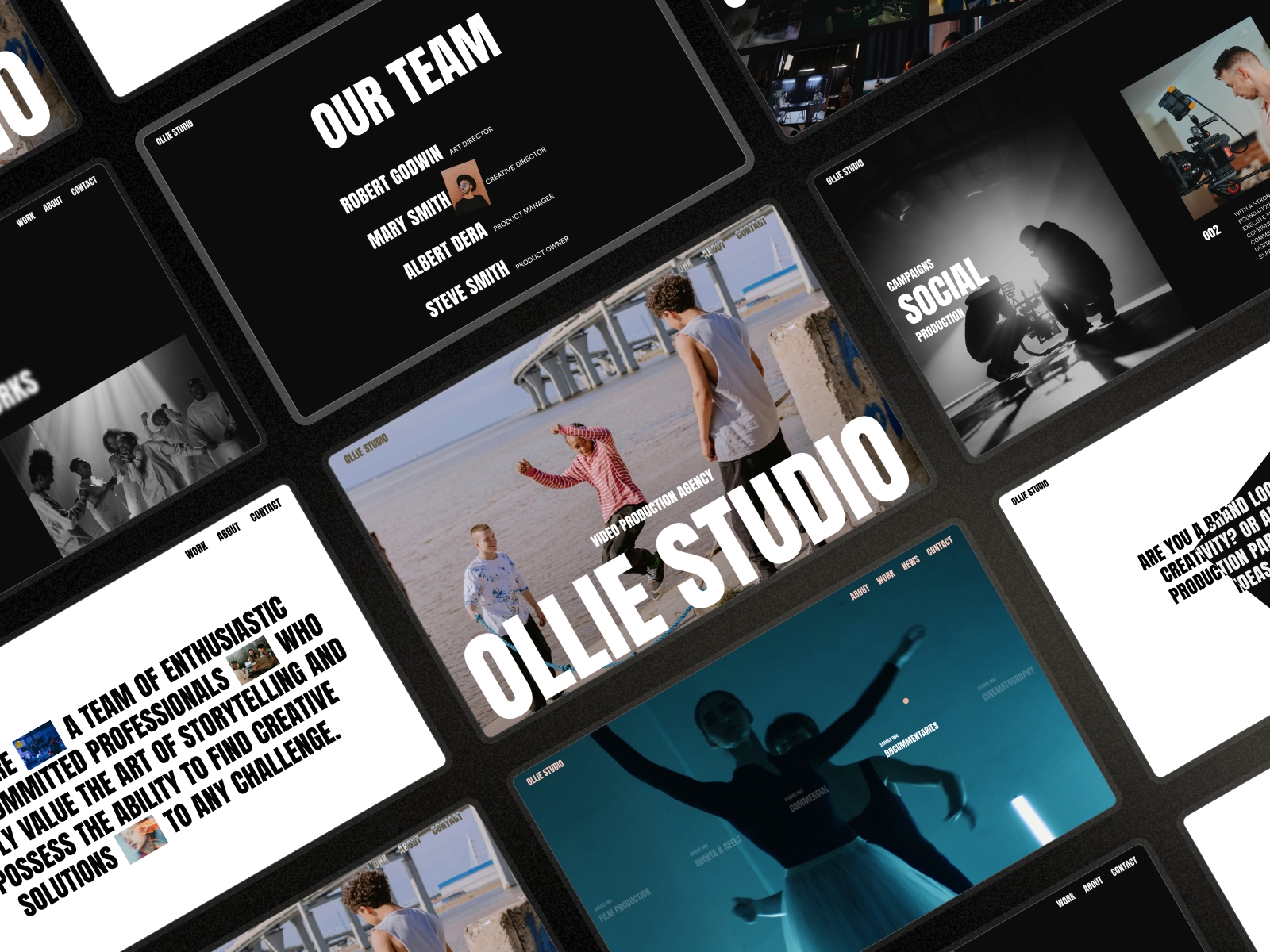 Screenshot 1 of OllieStudio