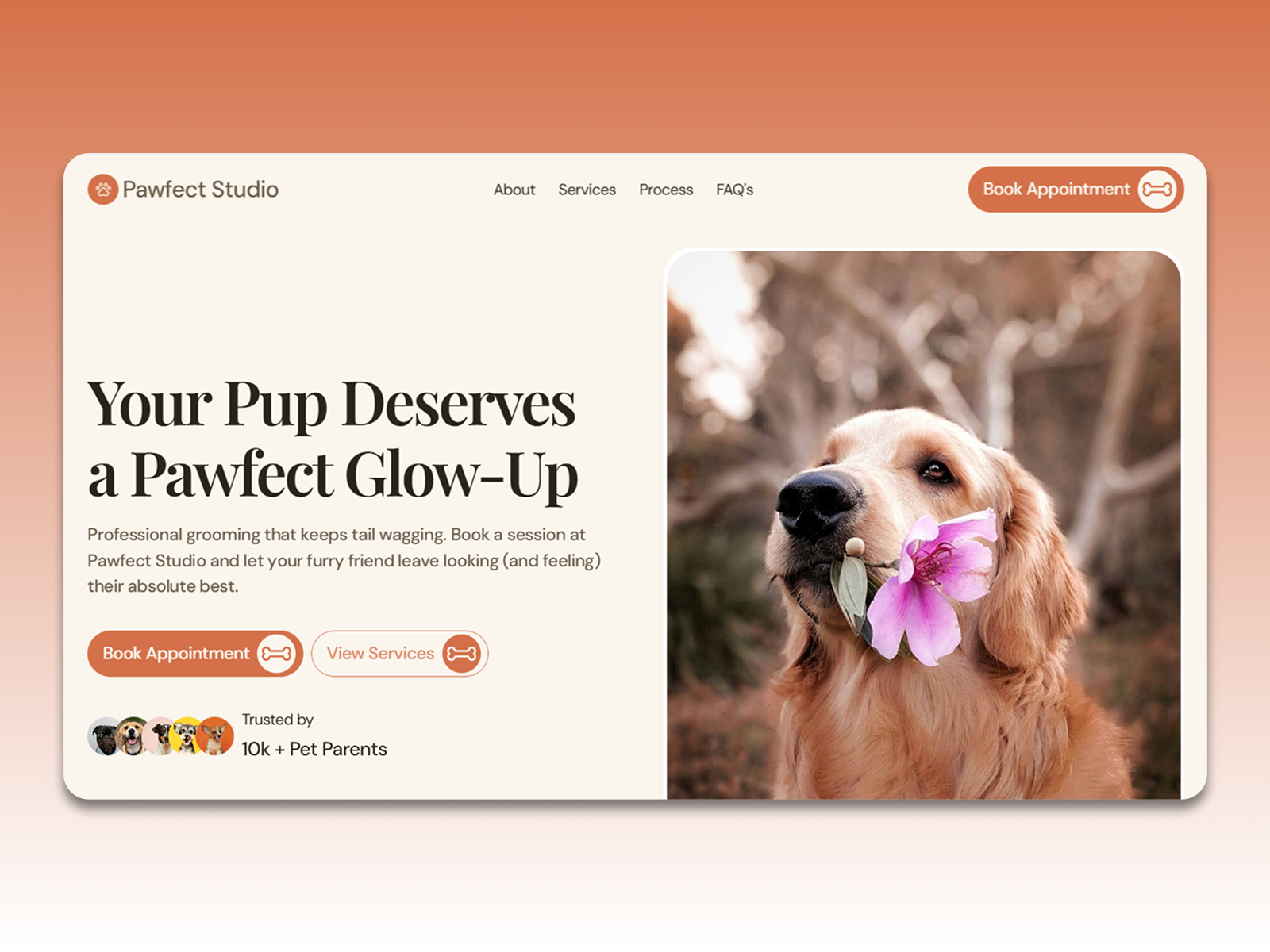 Screenshot 1 of Pawfect Studio
