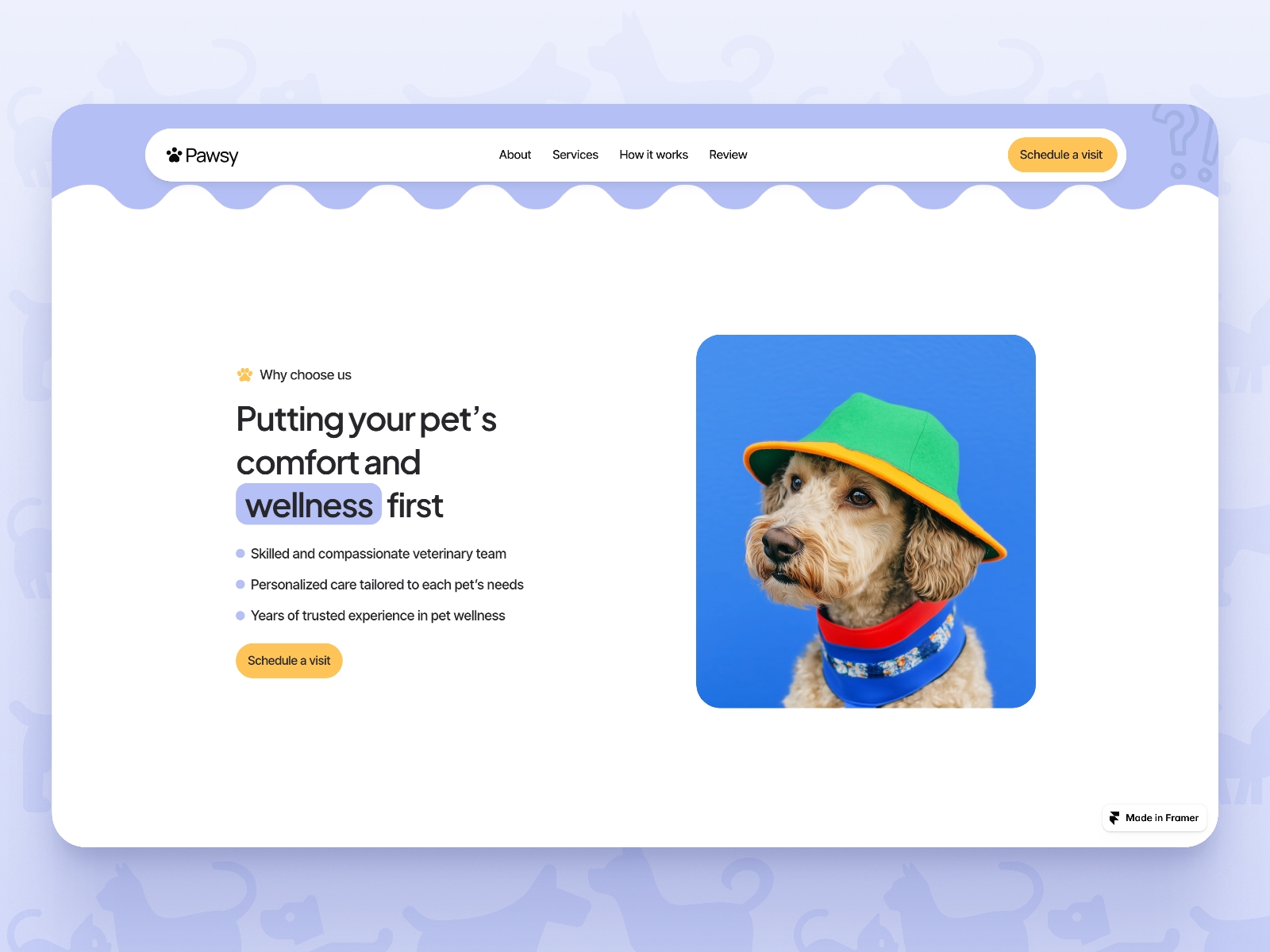 Screenshot 3 of Pawsy