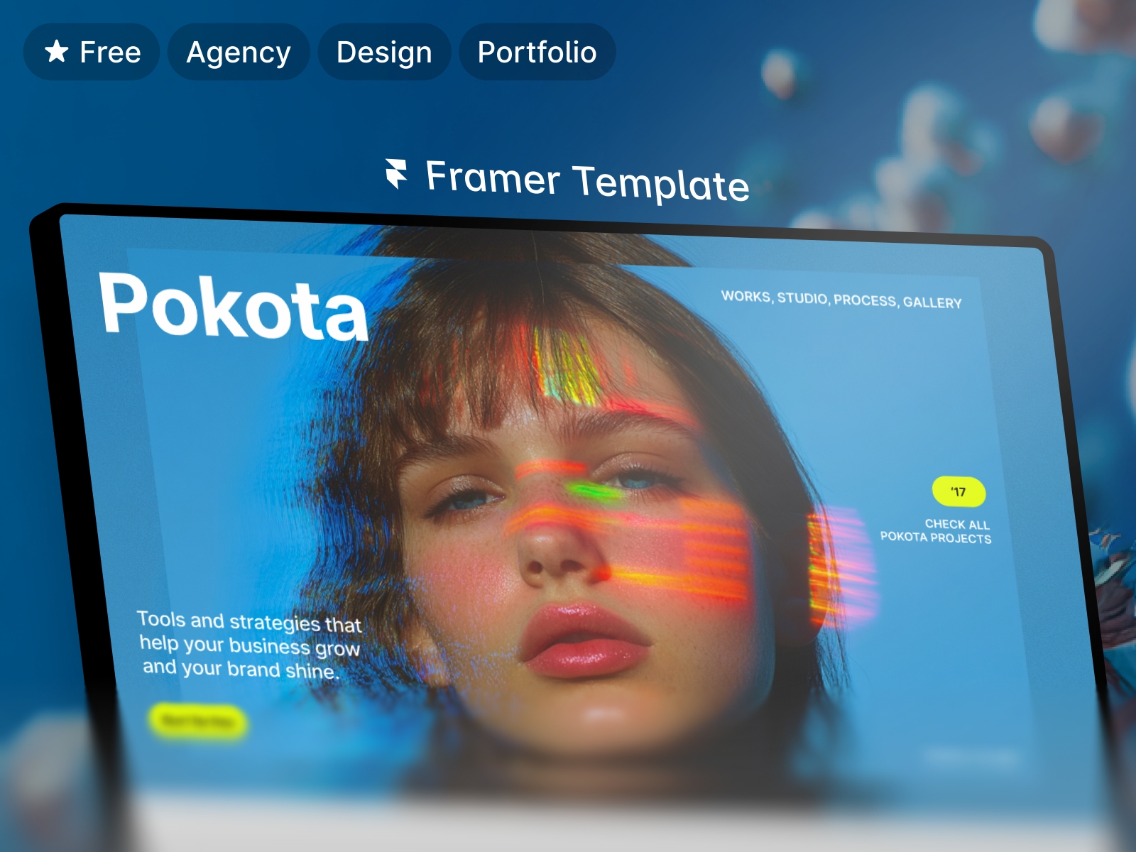 Screenshot 1 of Pokota