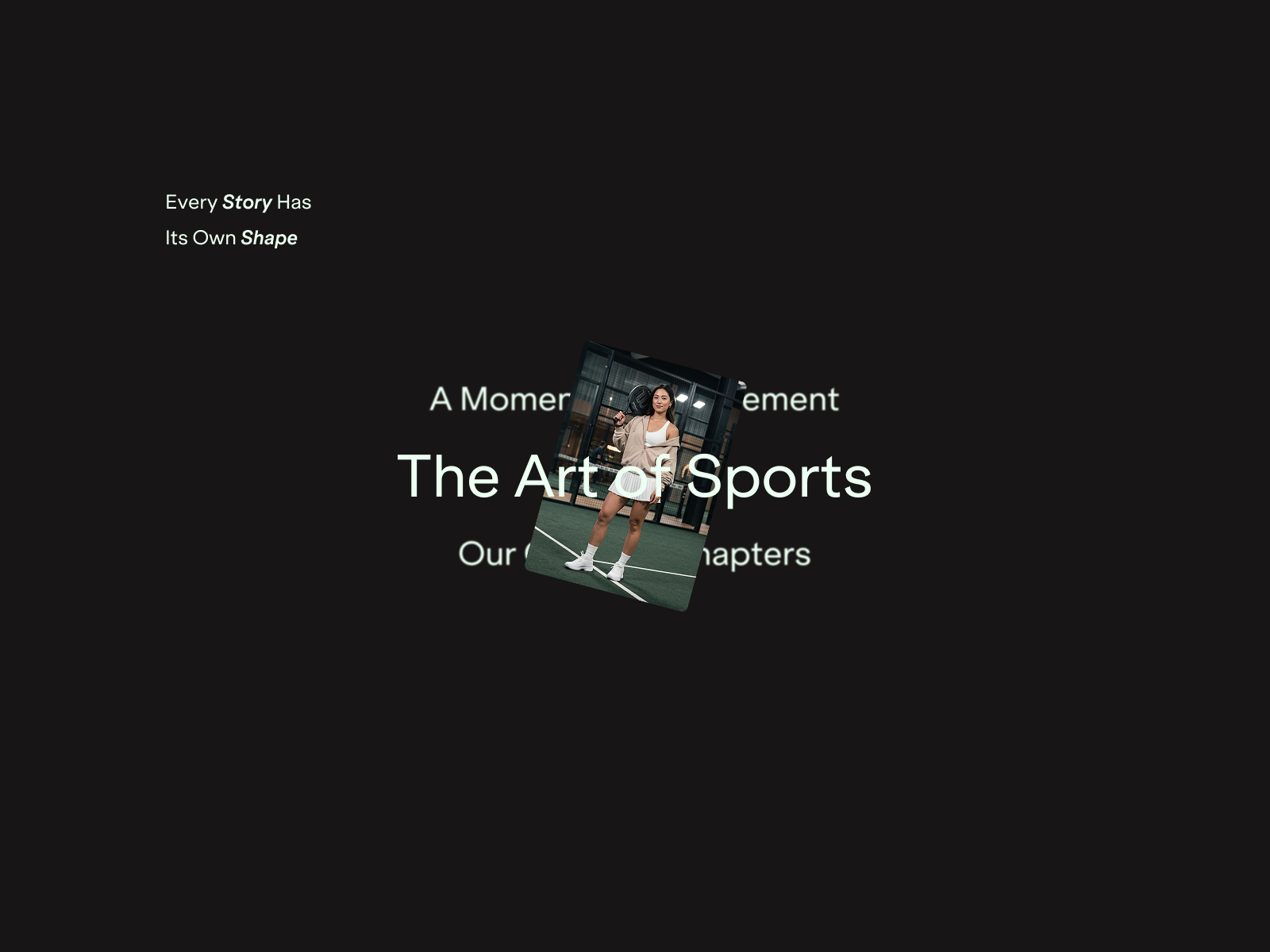 Screenshot 2 of Renoir Studio