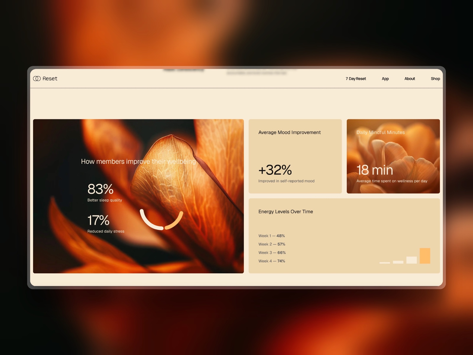 Screenshot 4 of Reset